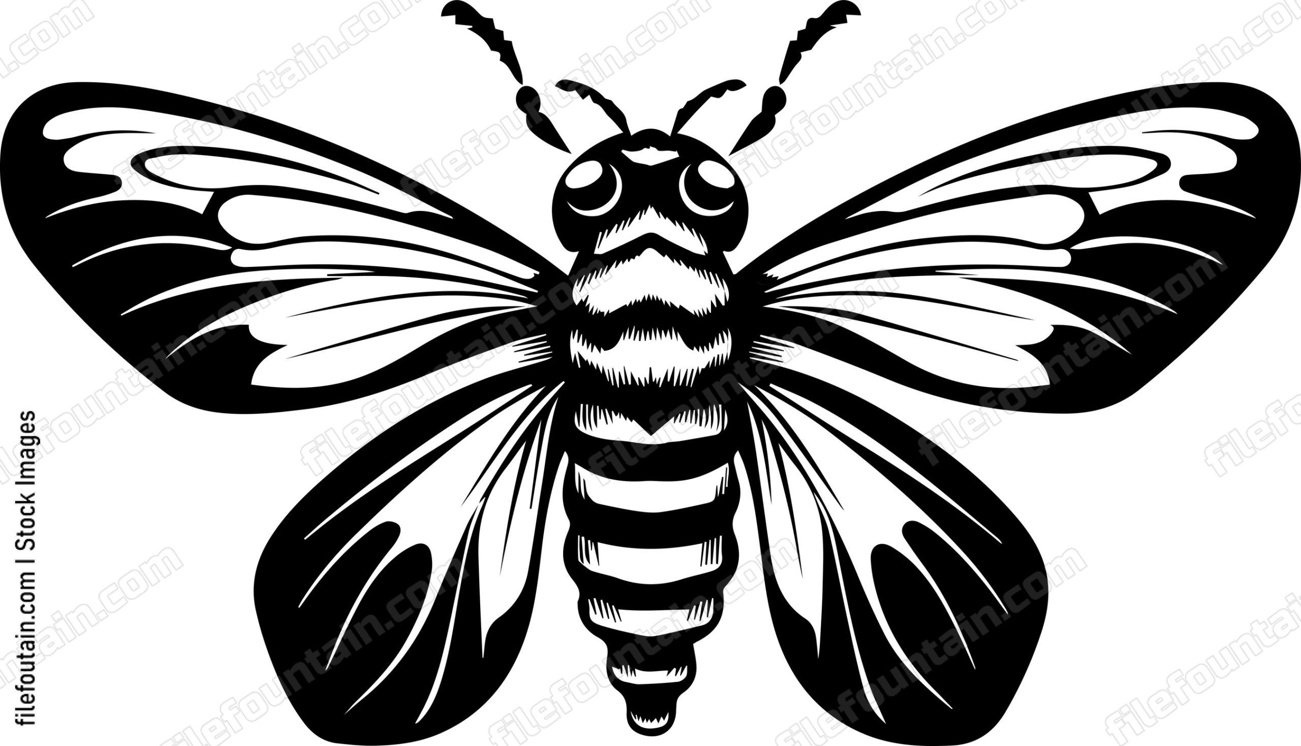Moth