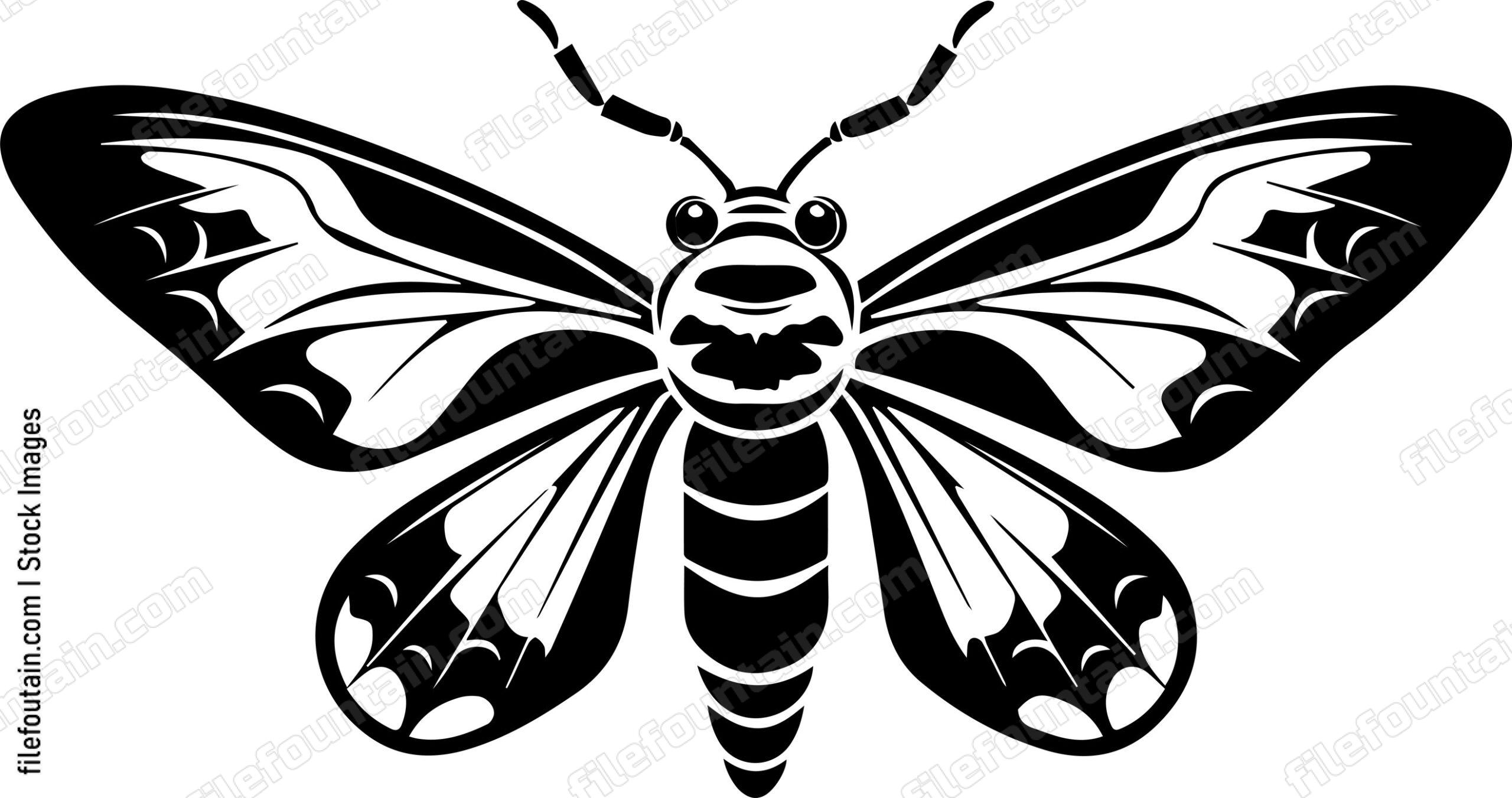Moth