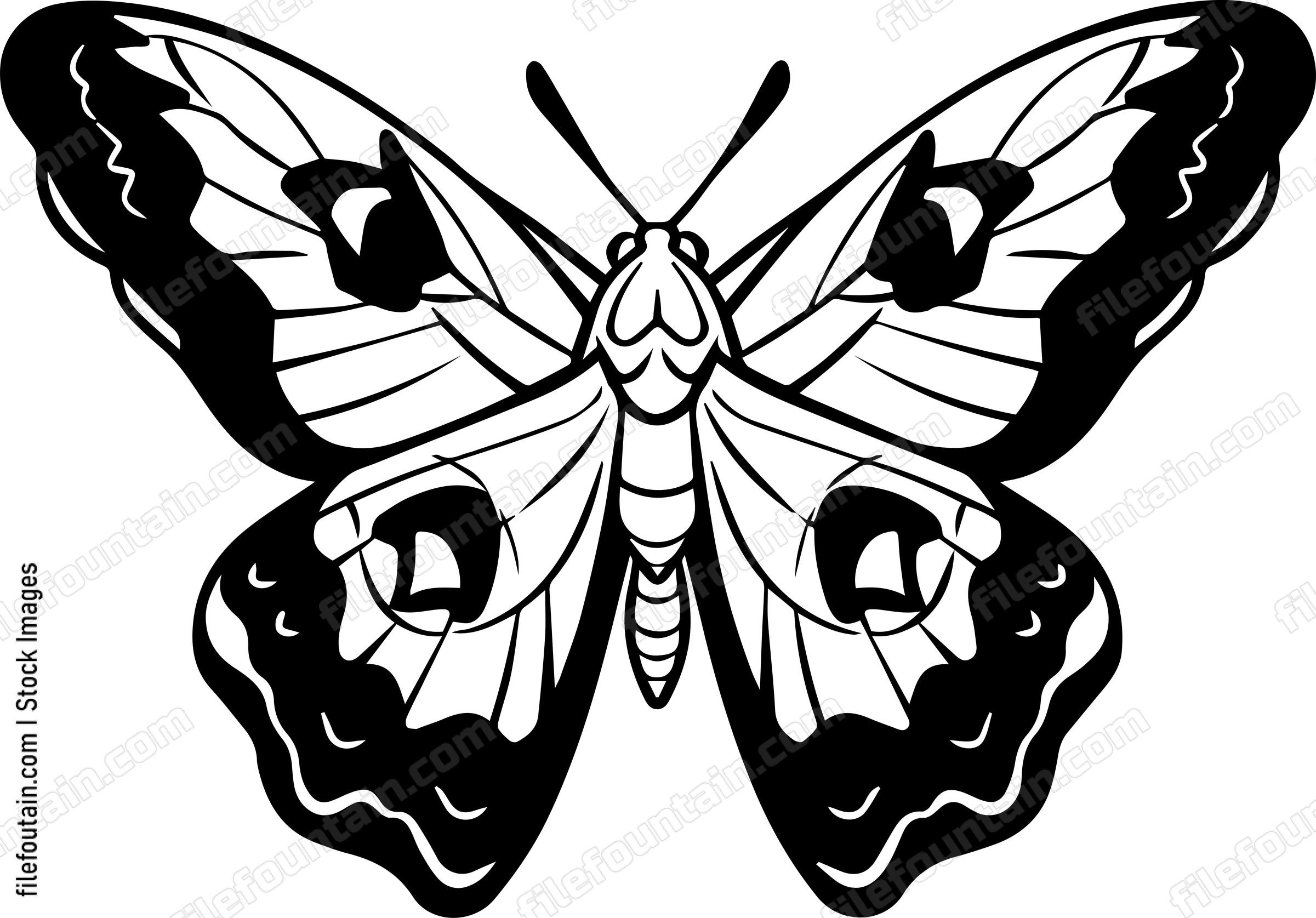 moth Flying