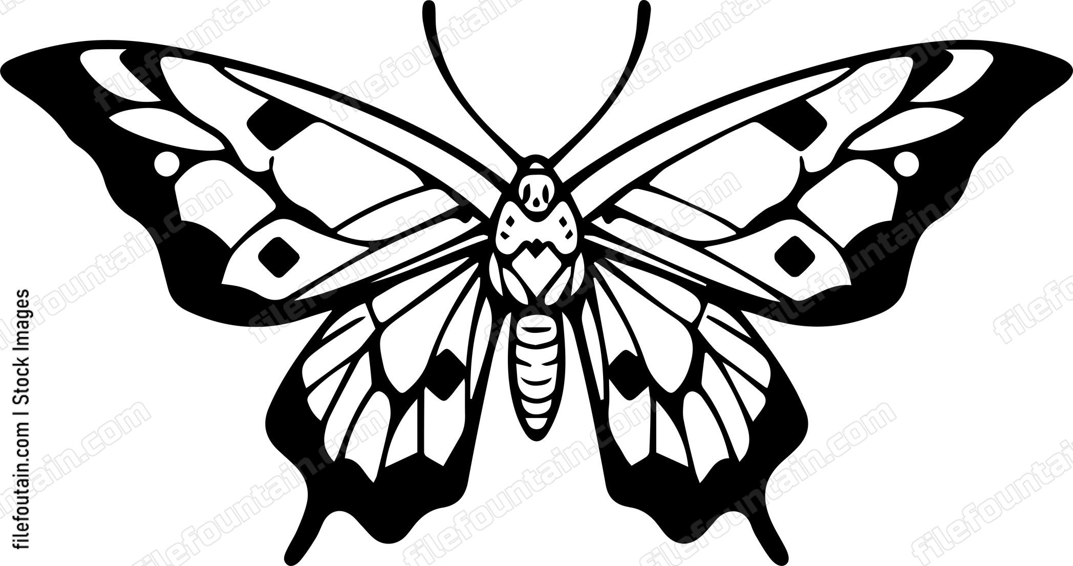 moth Flying