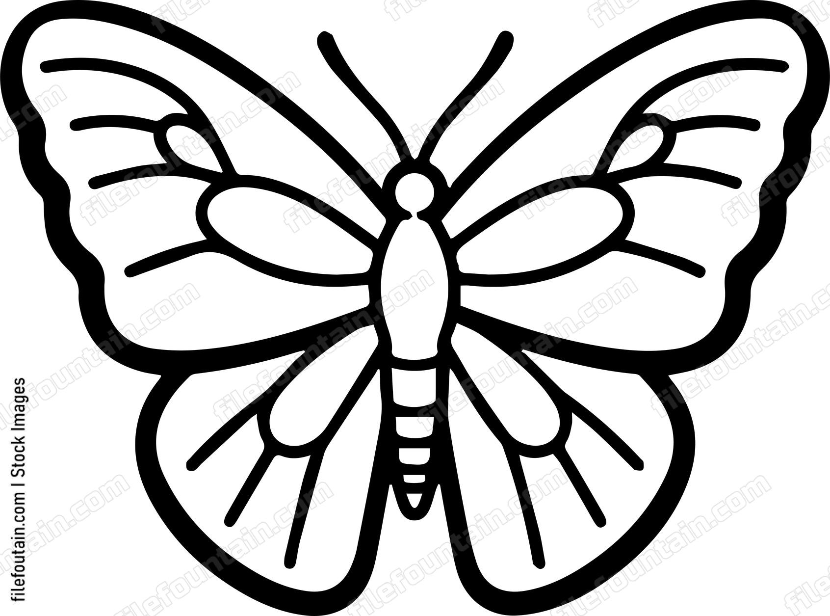 moth Flying