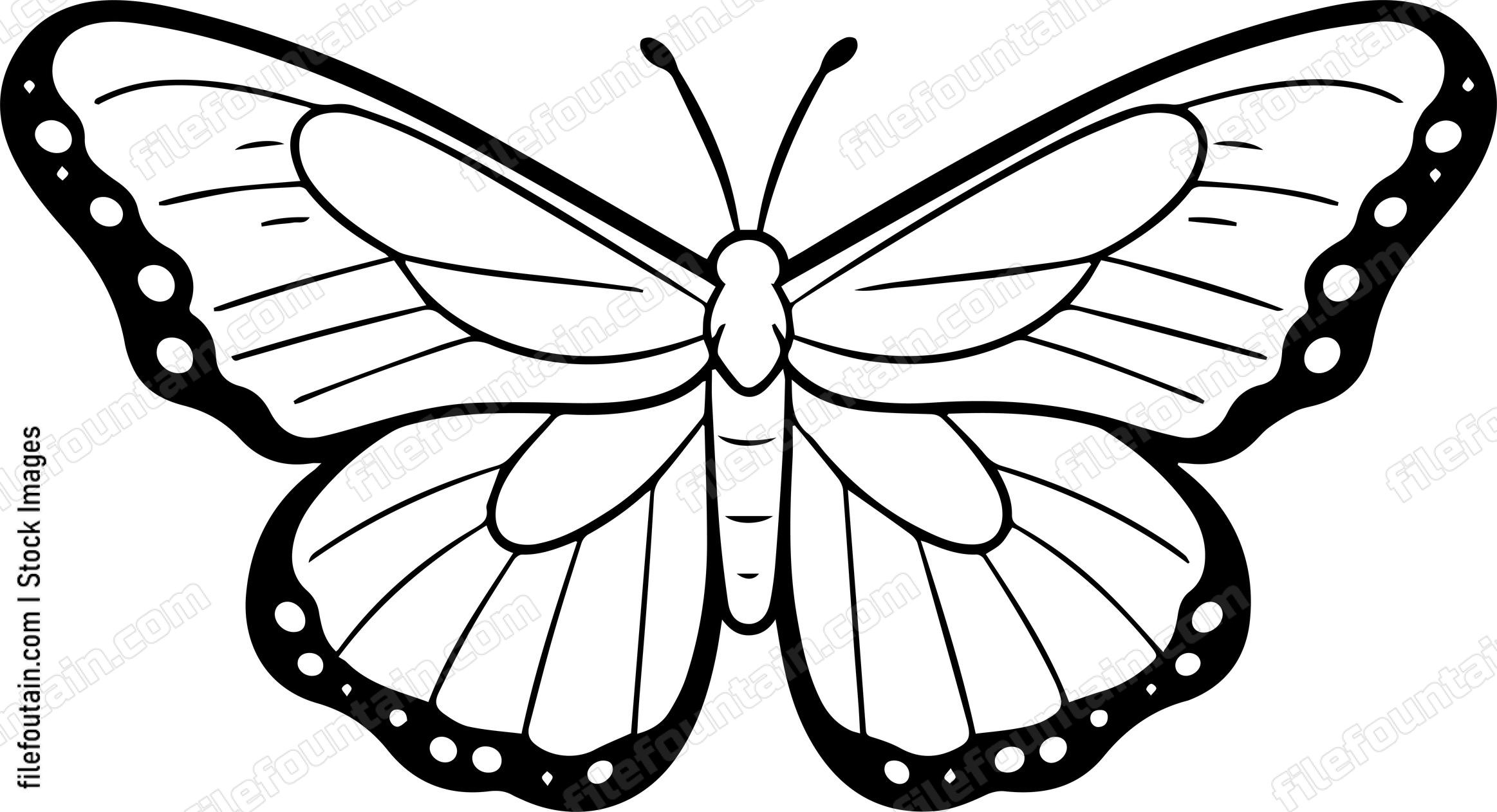 moth Flying