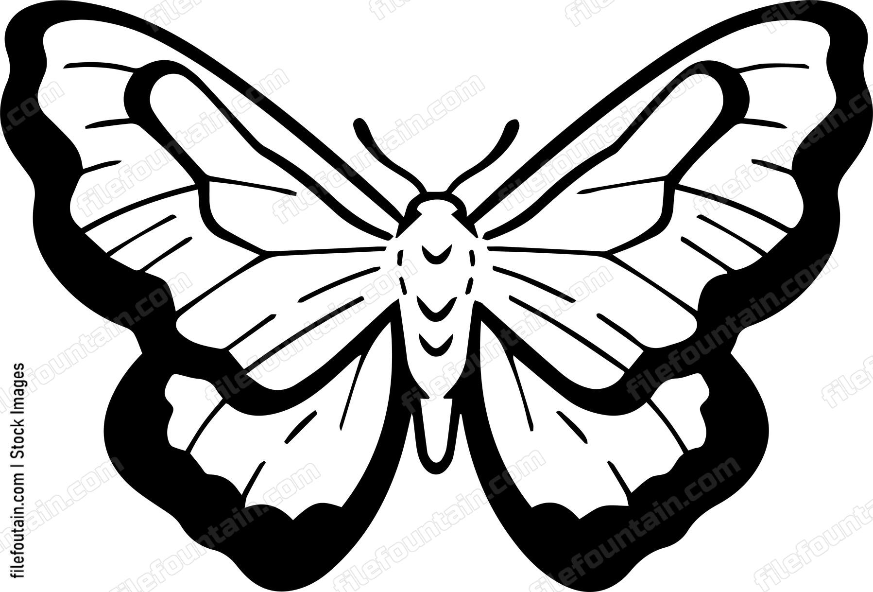 moth Flying