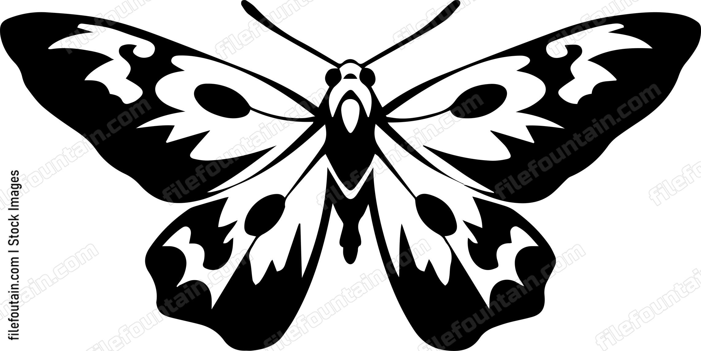 moth Flying