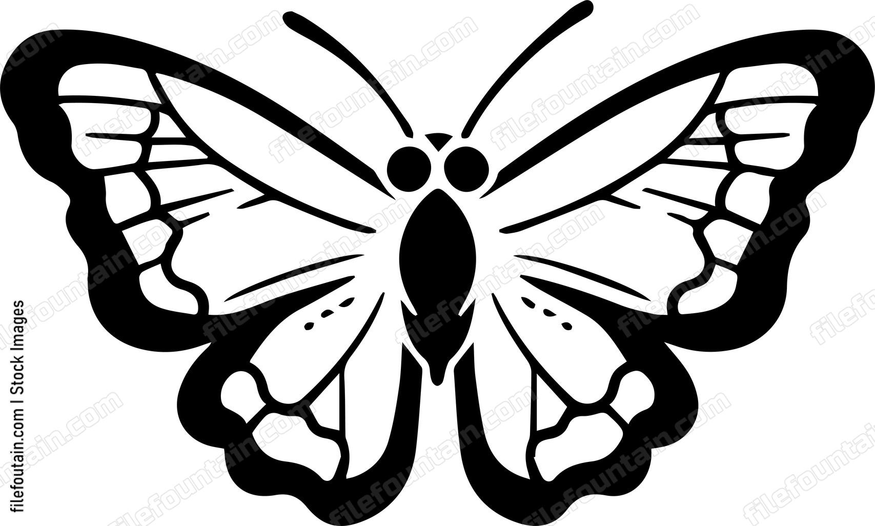 moth Flying