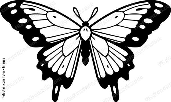 moth Flying