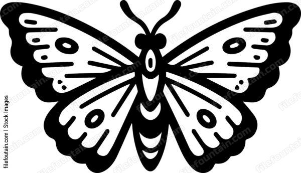 moth Flying