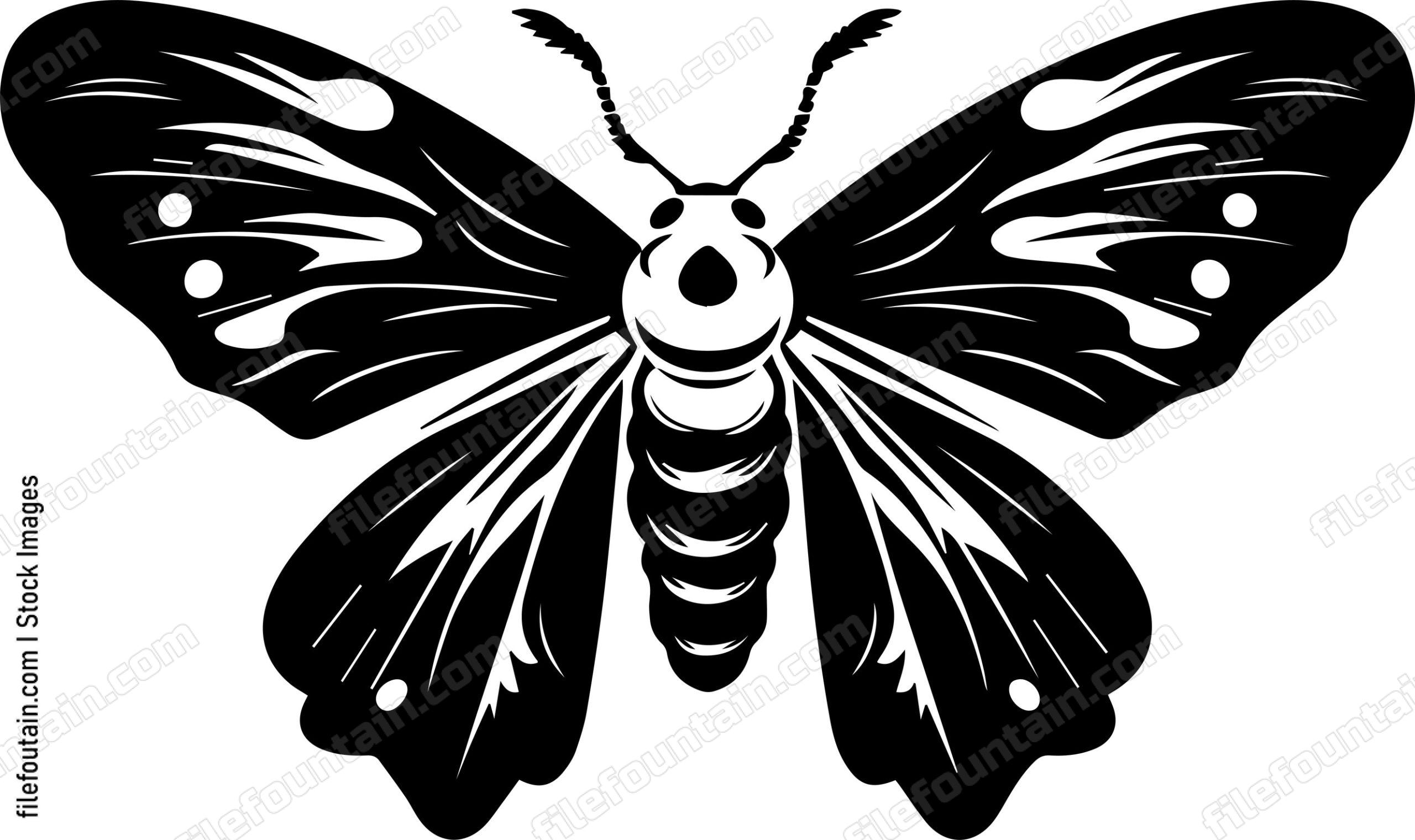 Moth Front