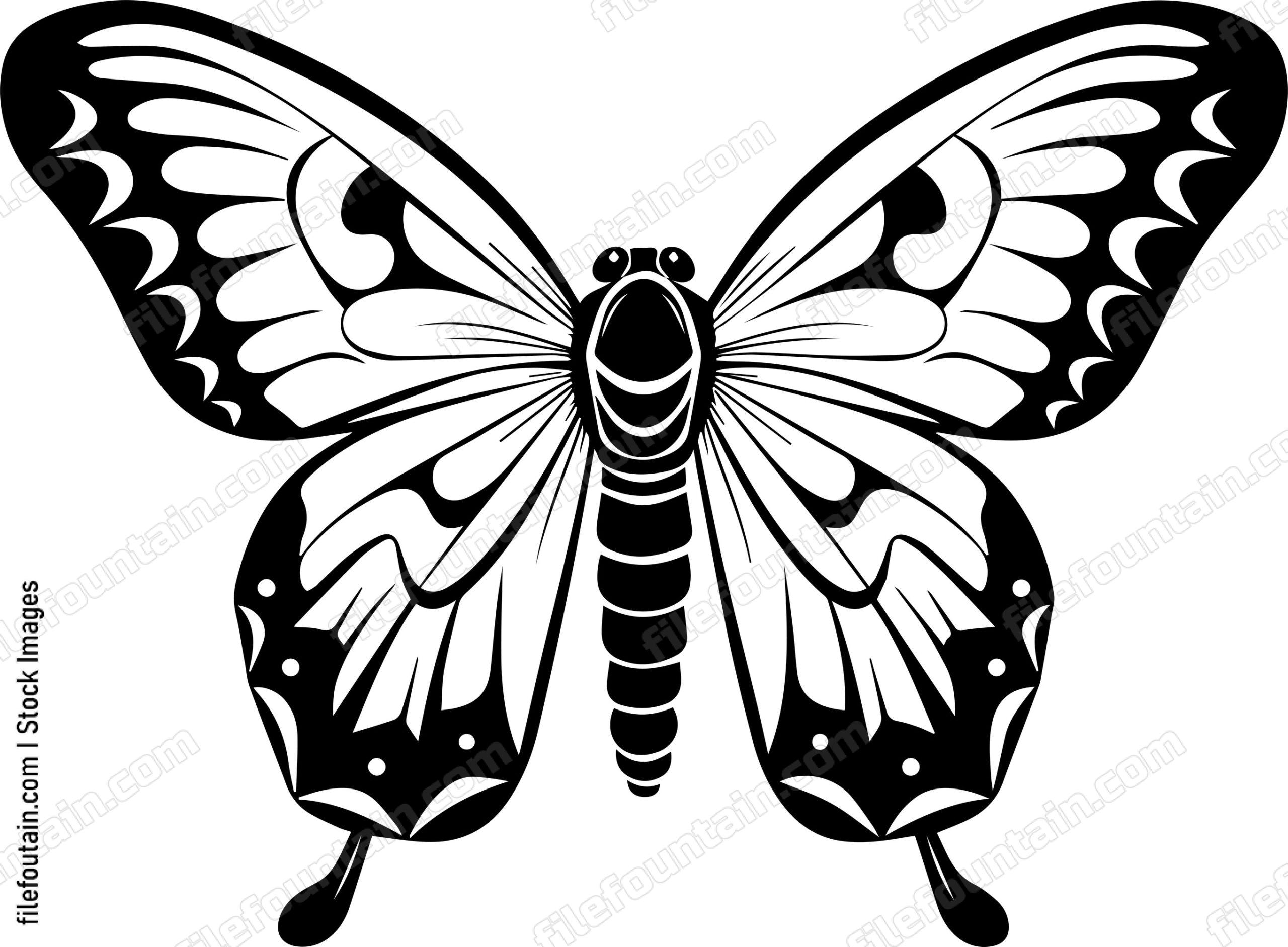 Moth Front
