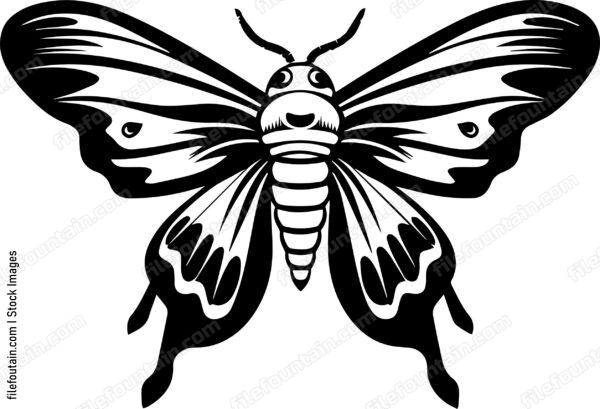 Mothpng