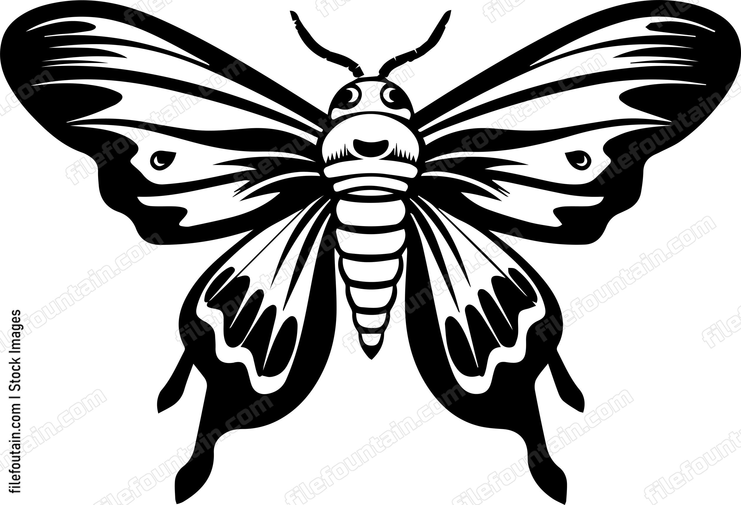 Mothpng