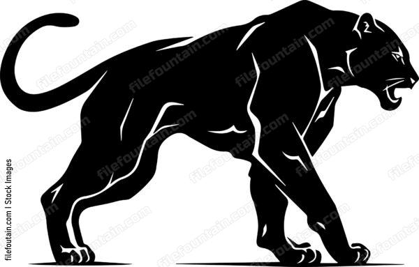Mountain Lion