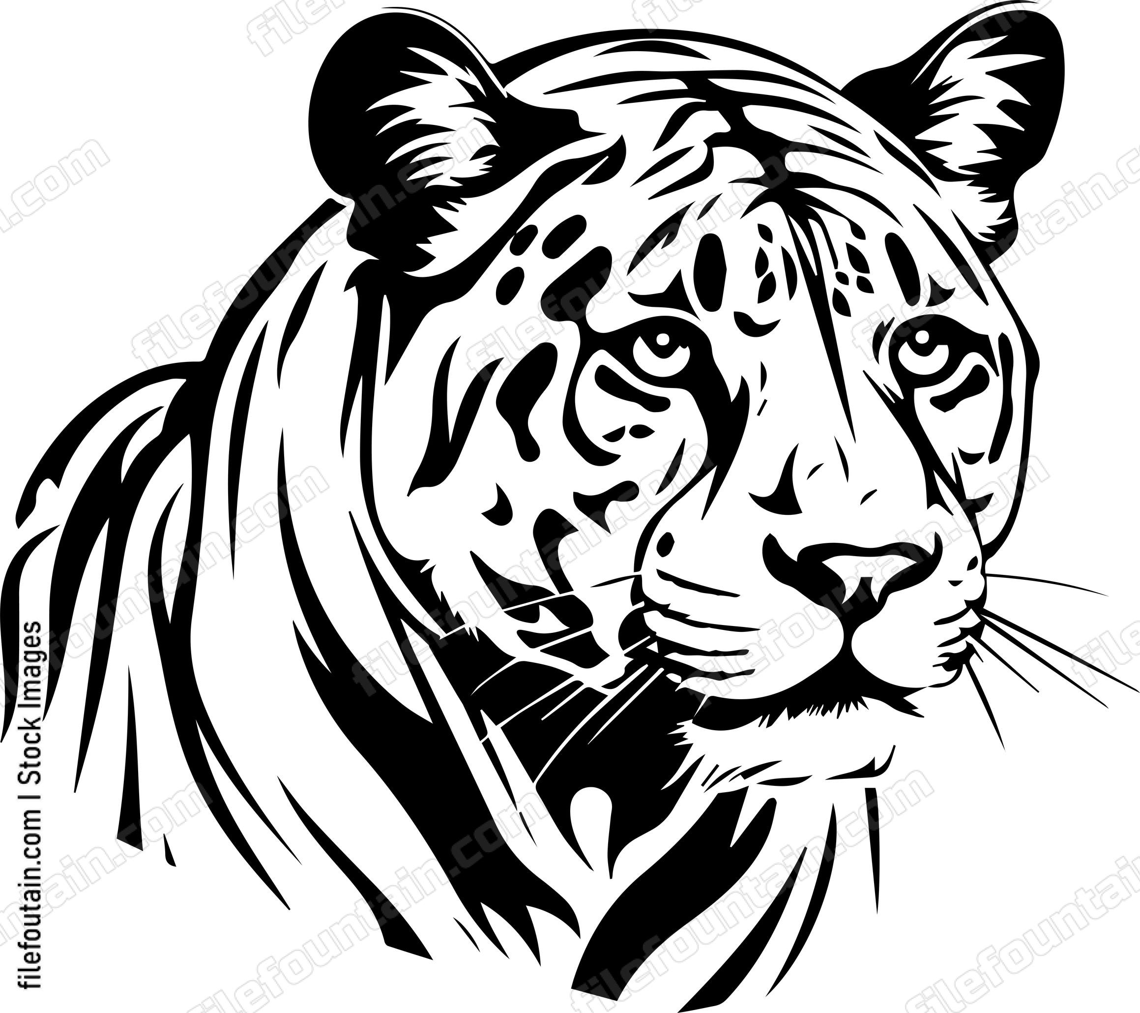 Mountain Lion mascot