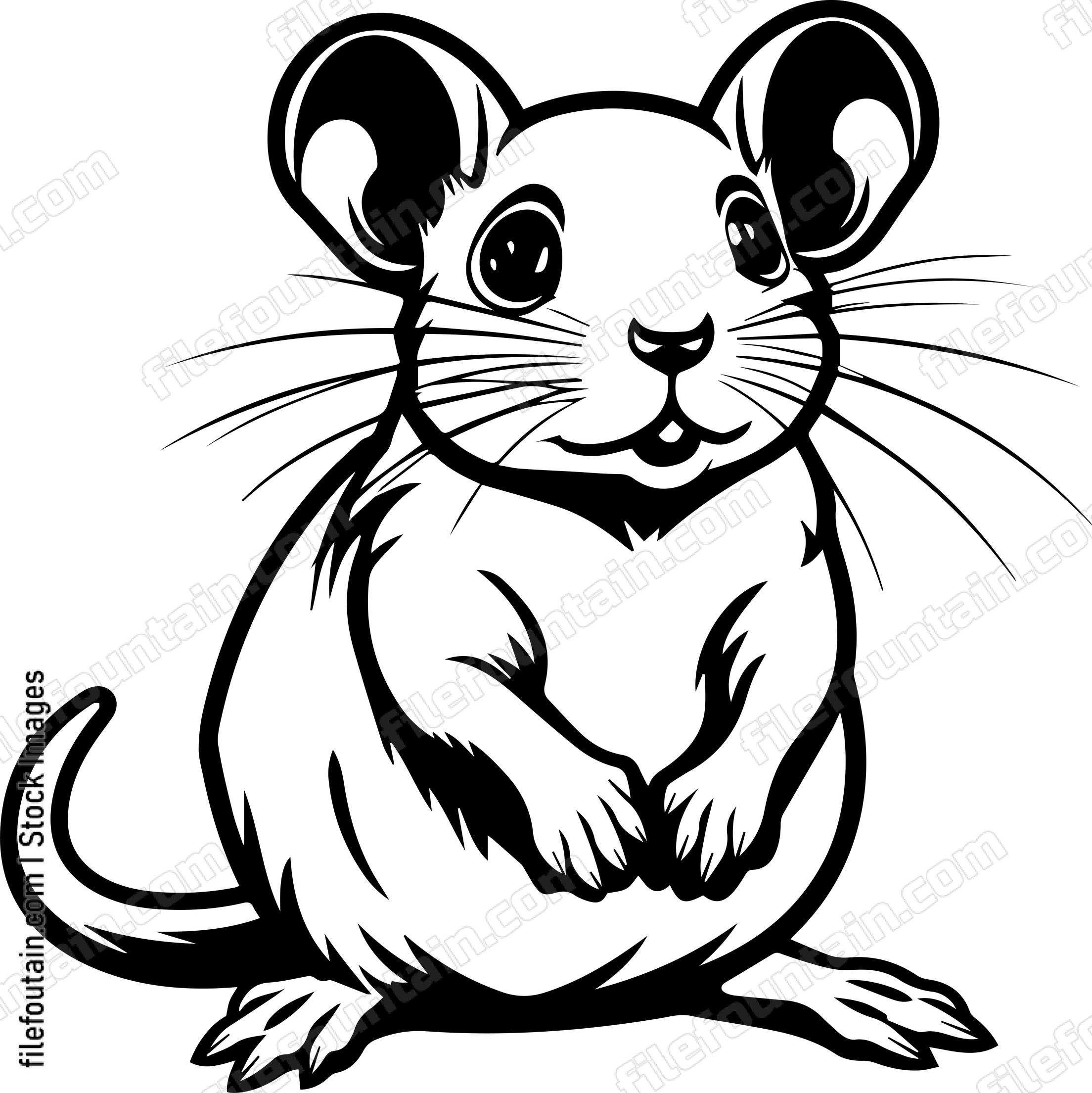 Mouse