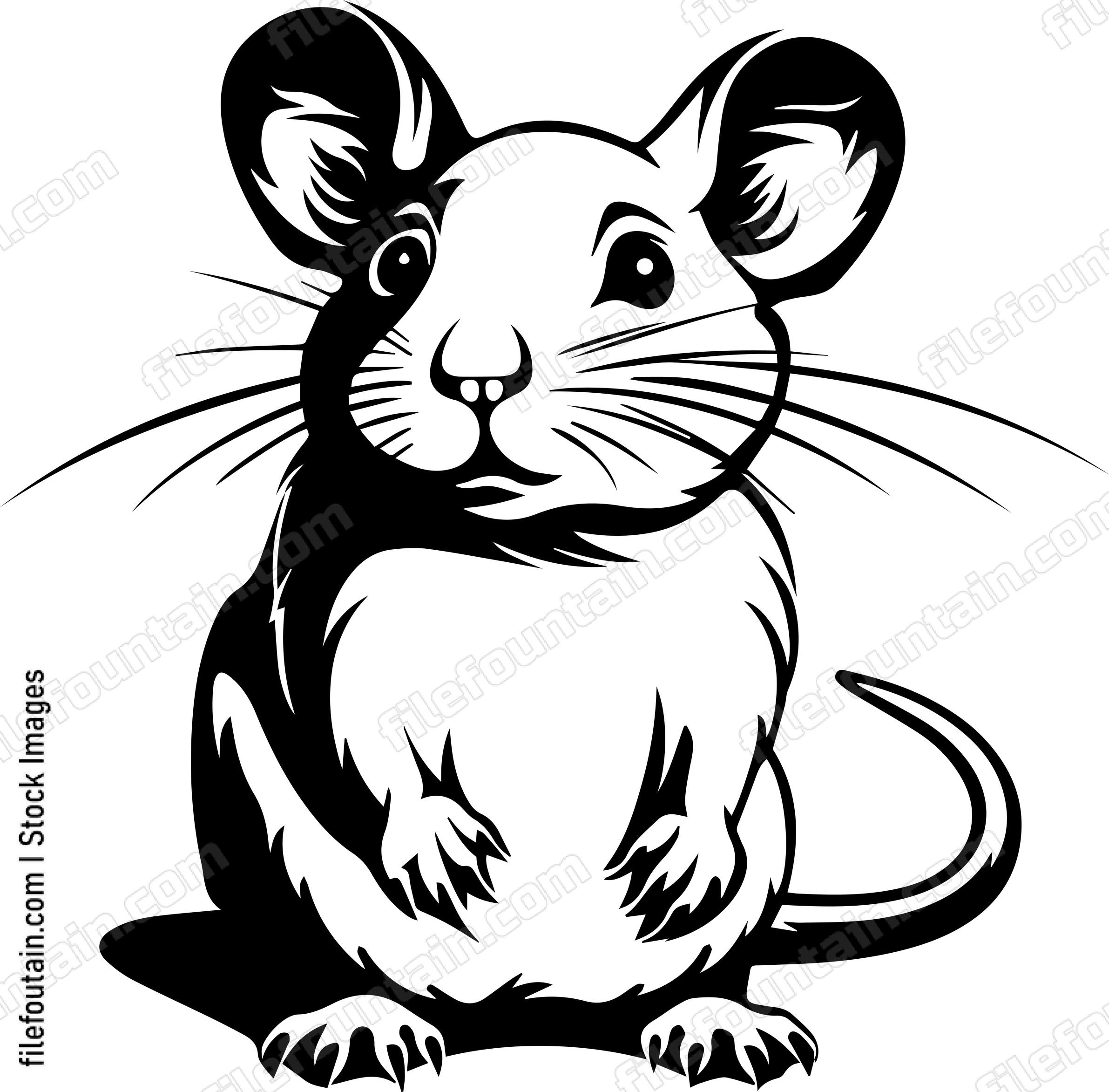 Mouse