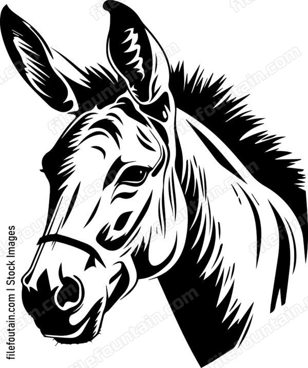 Mule