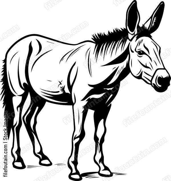 Mule