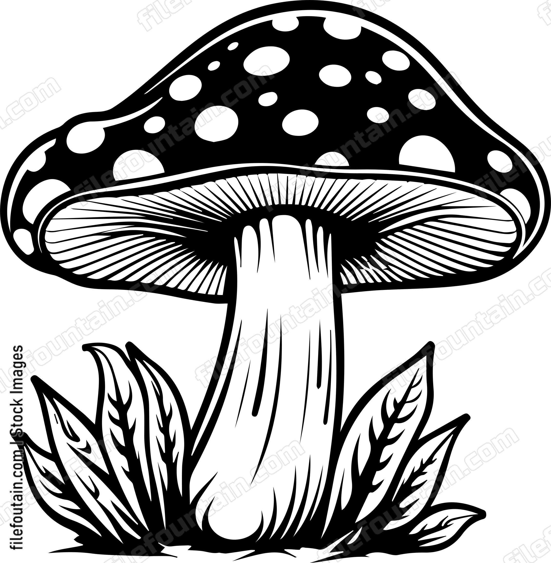 Mushroom