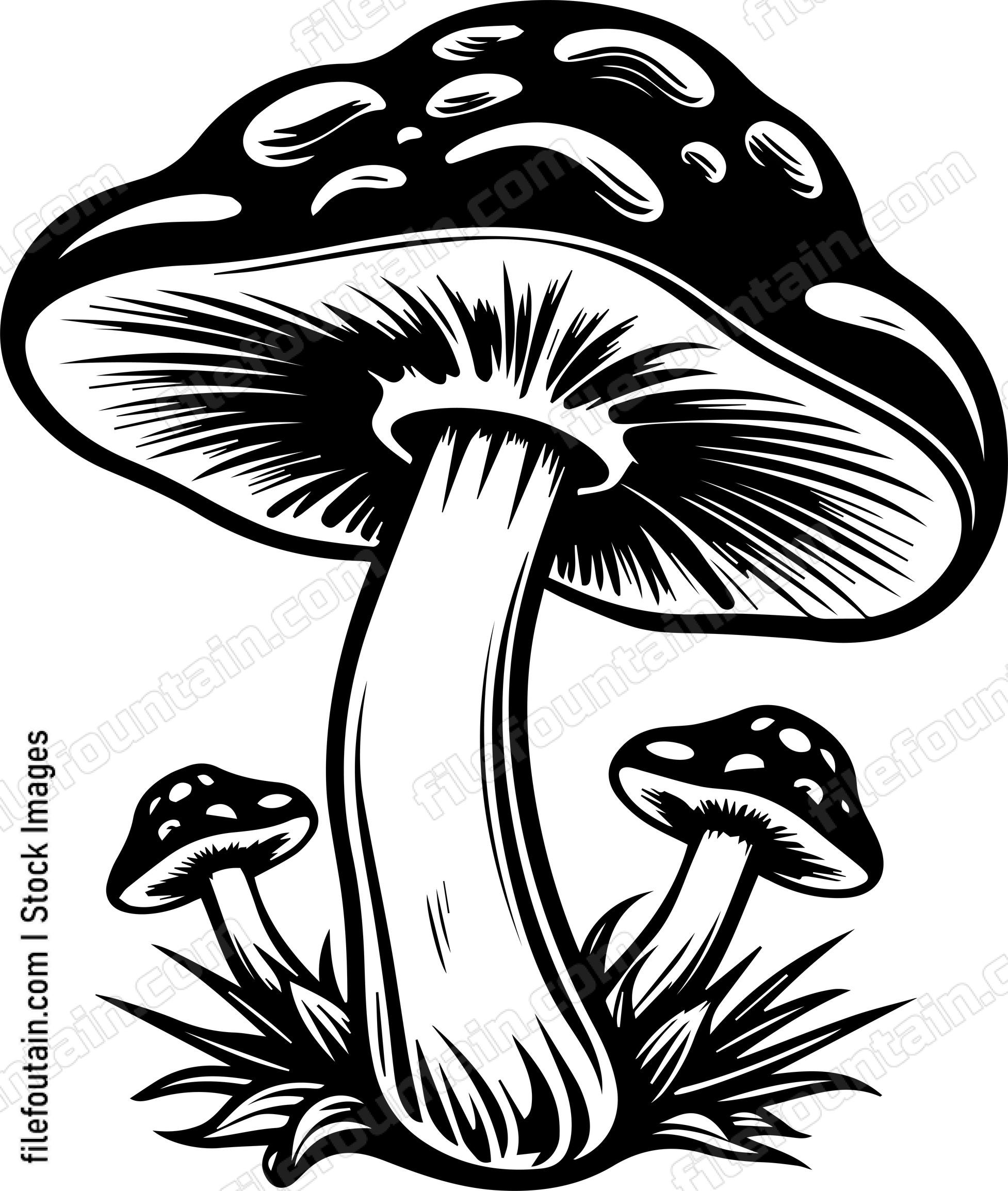 Mushroom