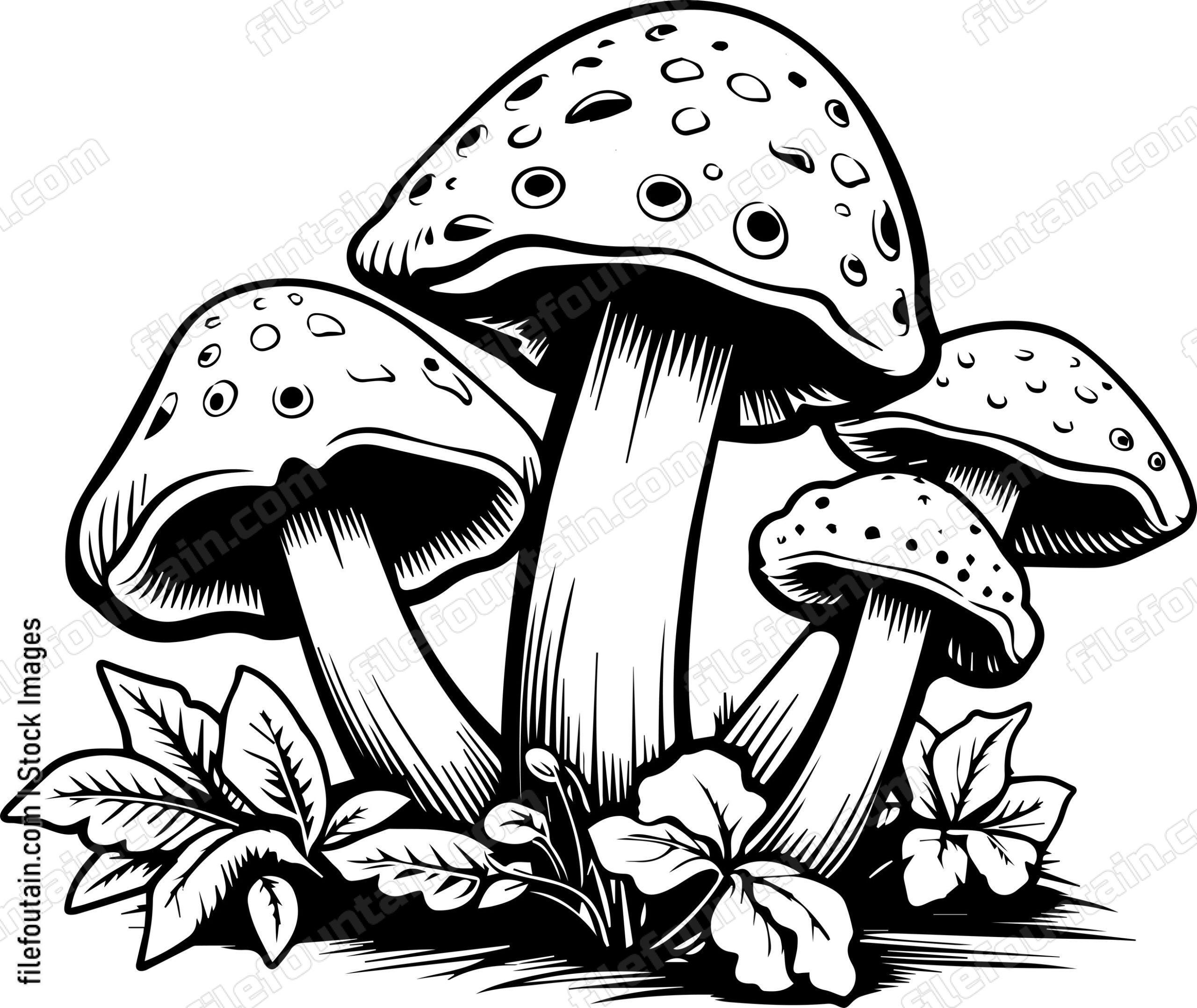 Mushrooms