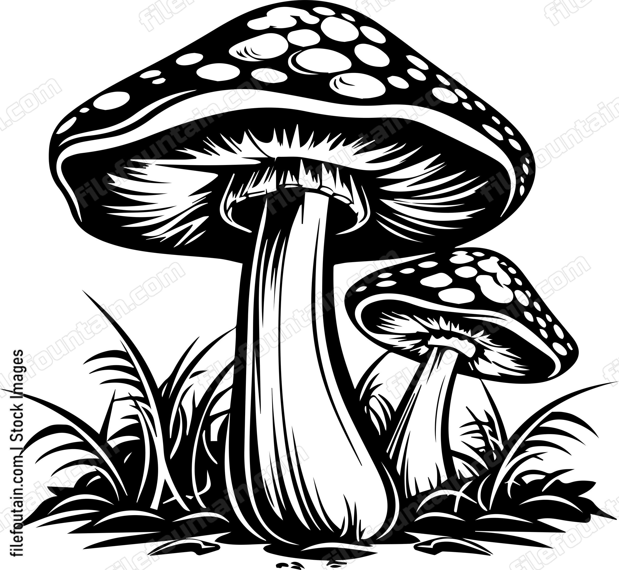 Mushrooms