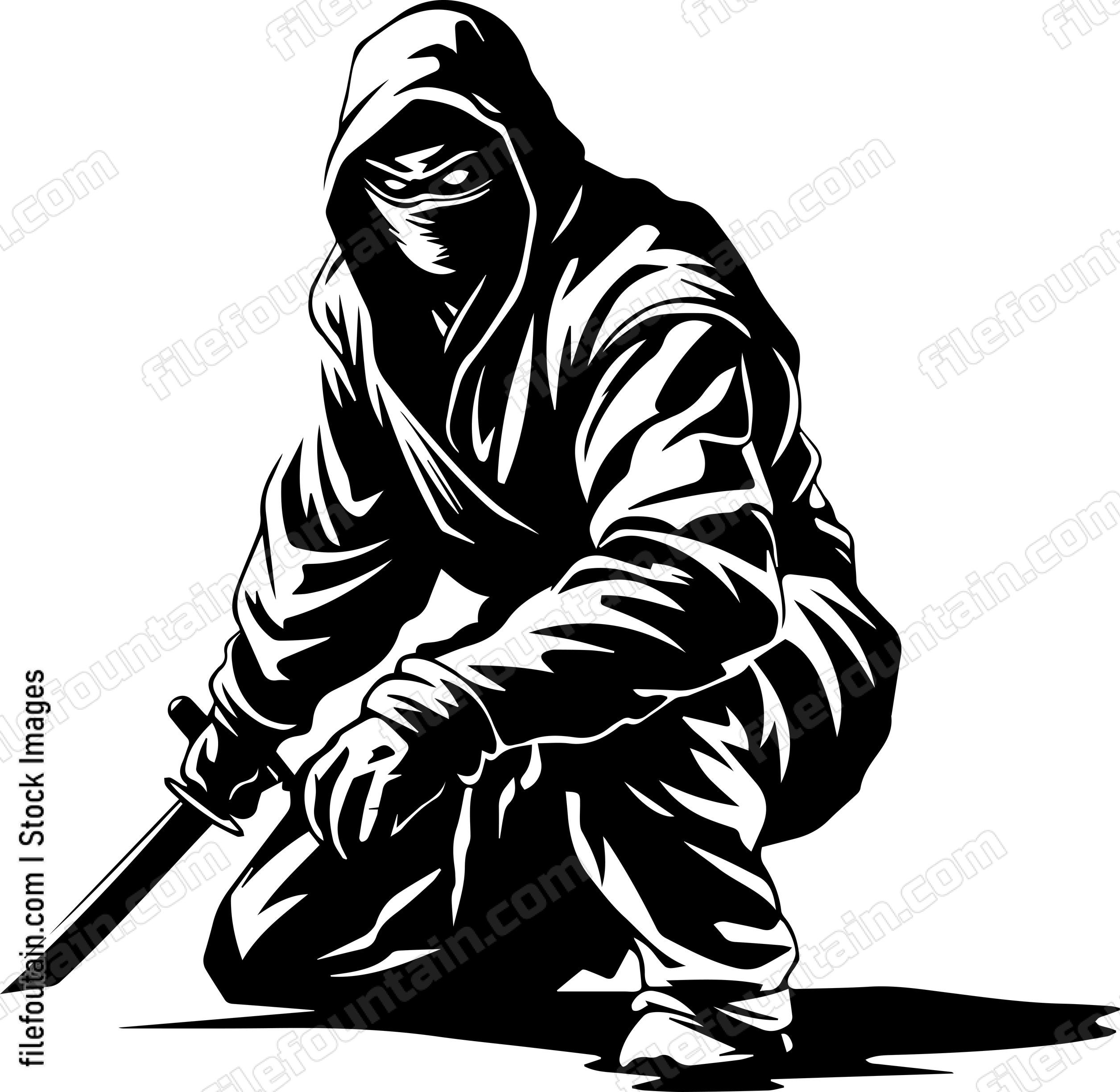 Ninja Assassin Ninjutsu