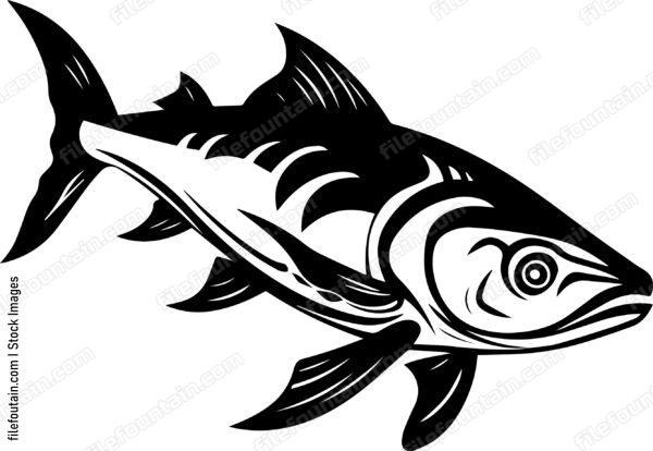 ocean fish