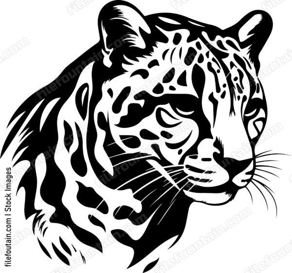 Ocelot