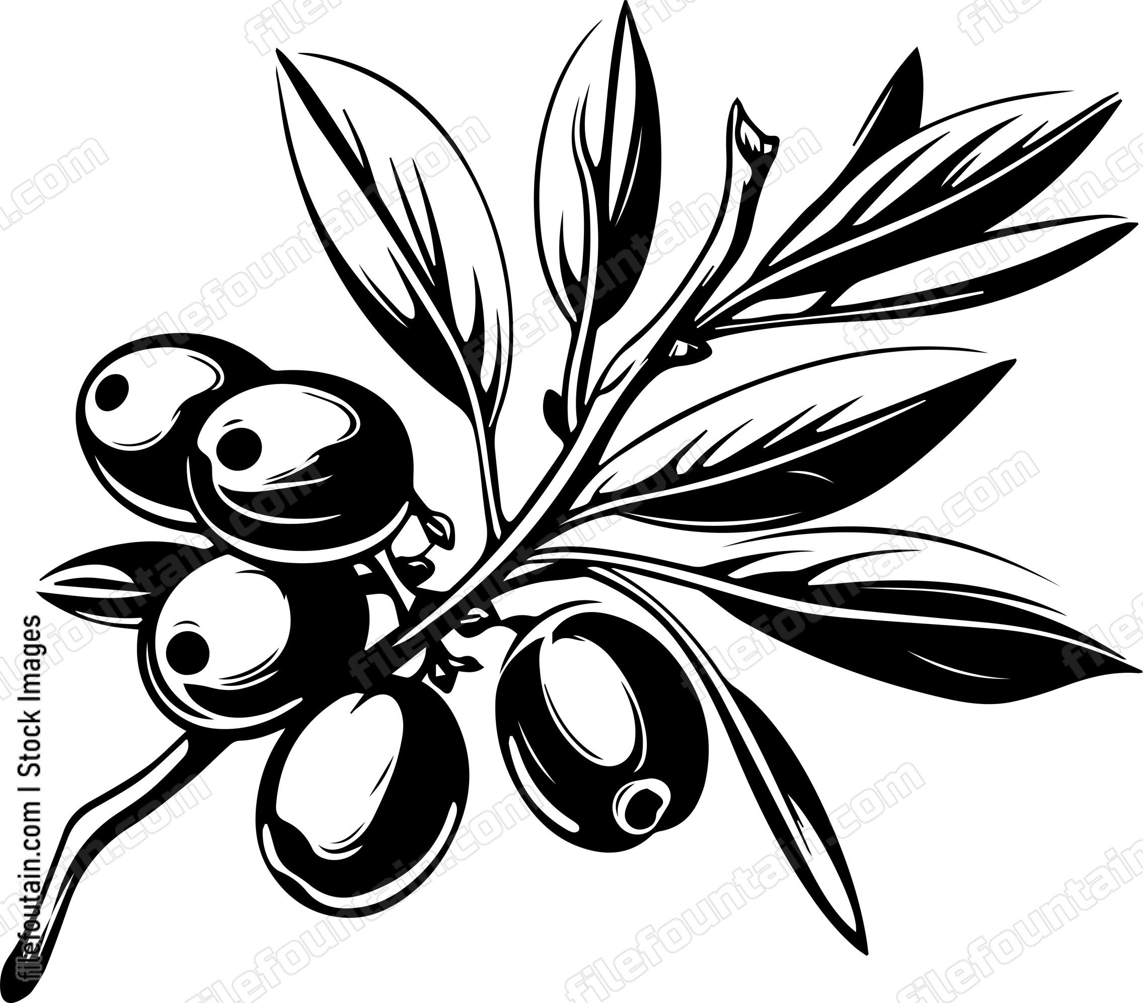 Olive