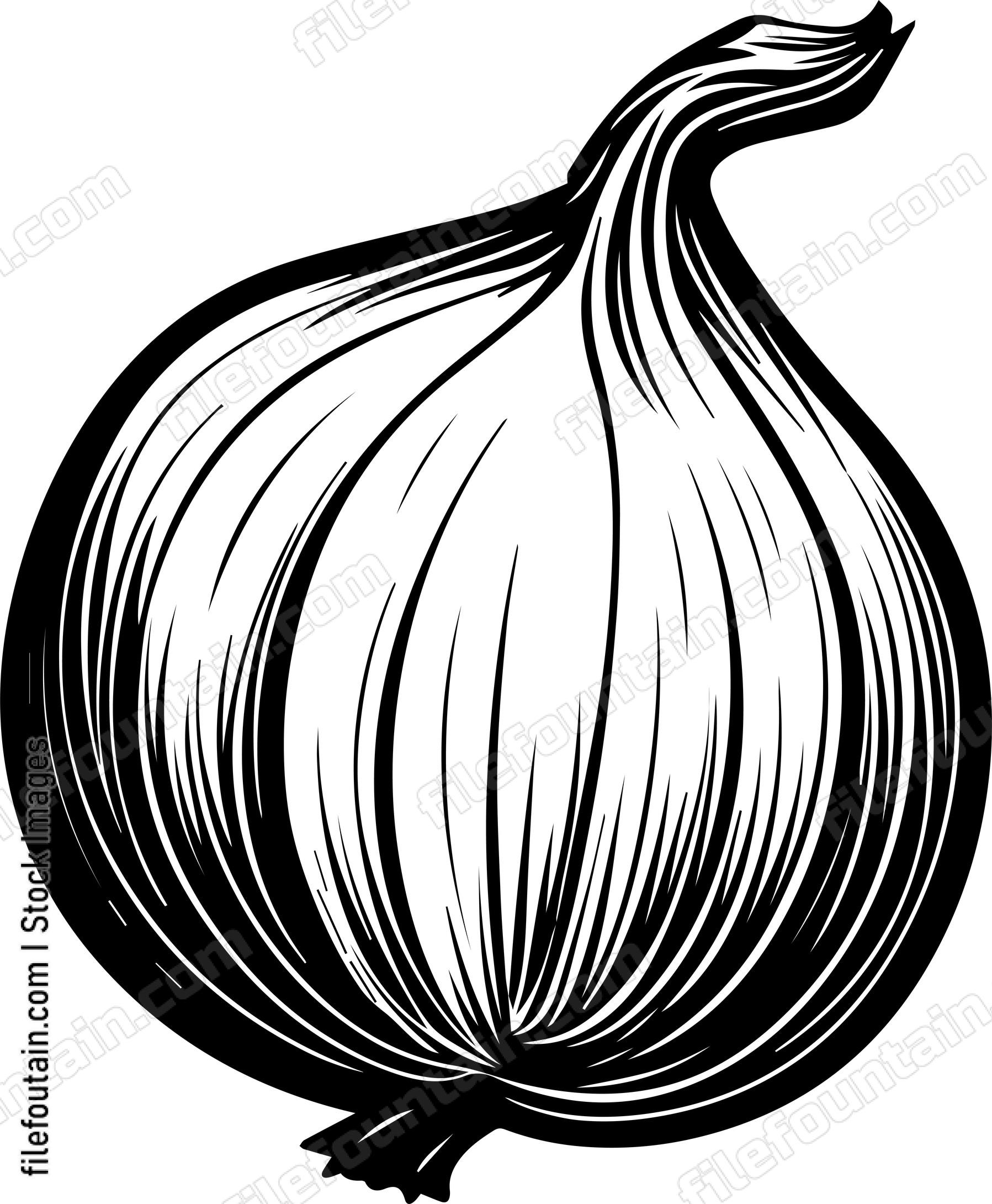 Onion