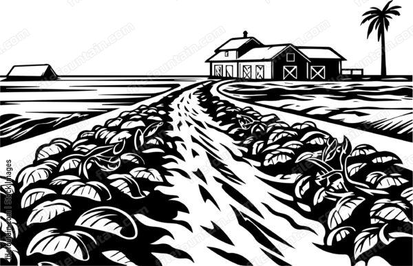 Orange Farm