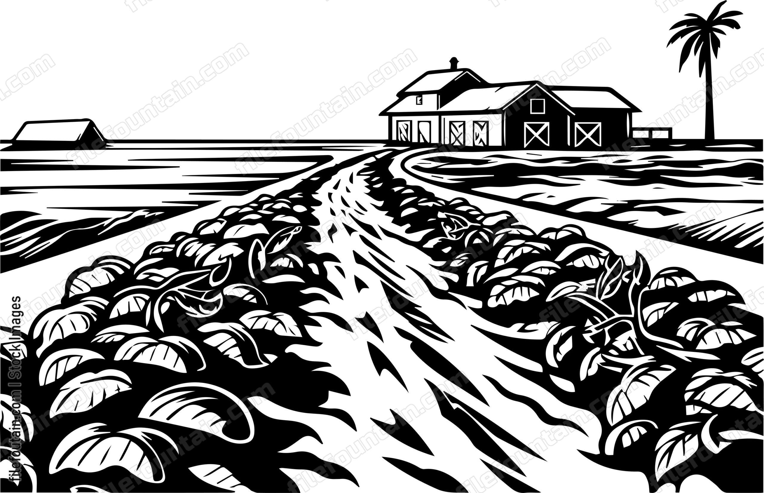 Orange Farm