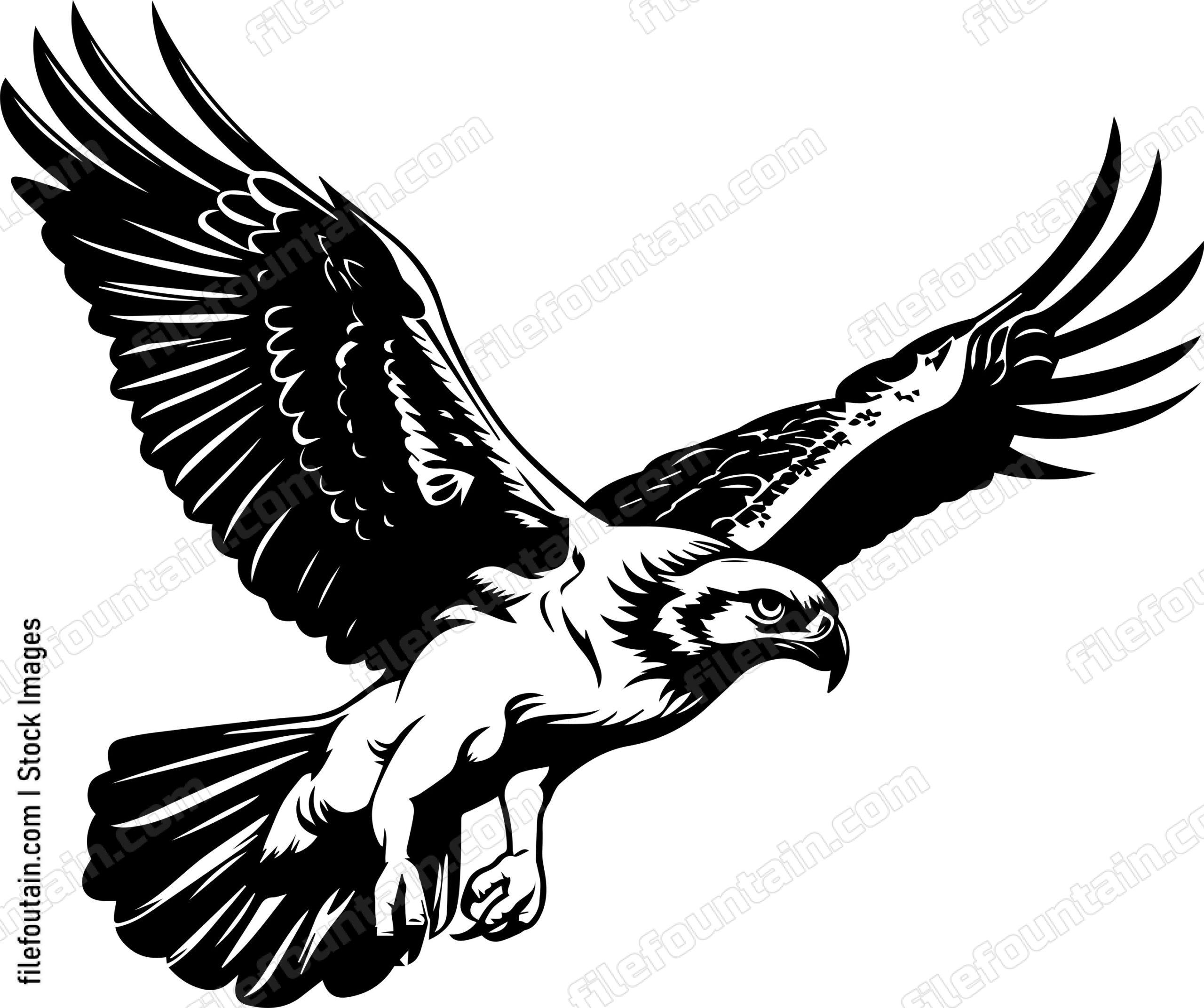 Osprey
