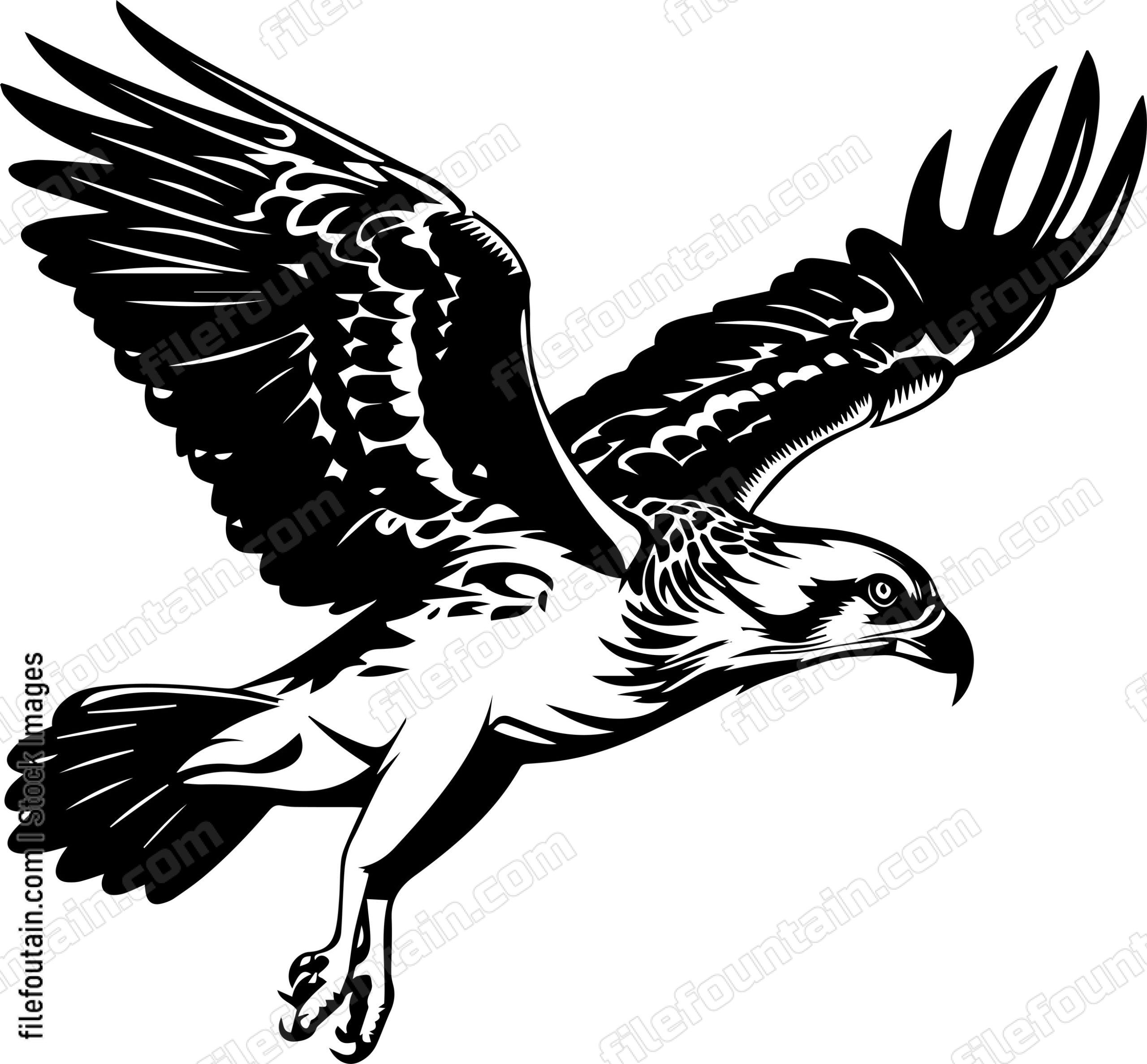 Osprey Catching Fish