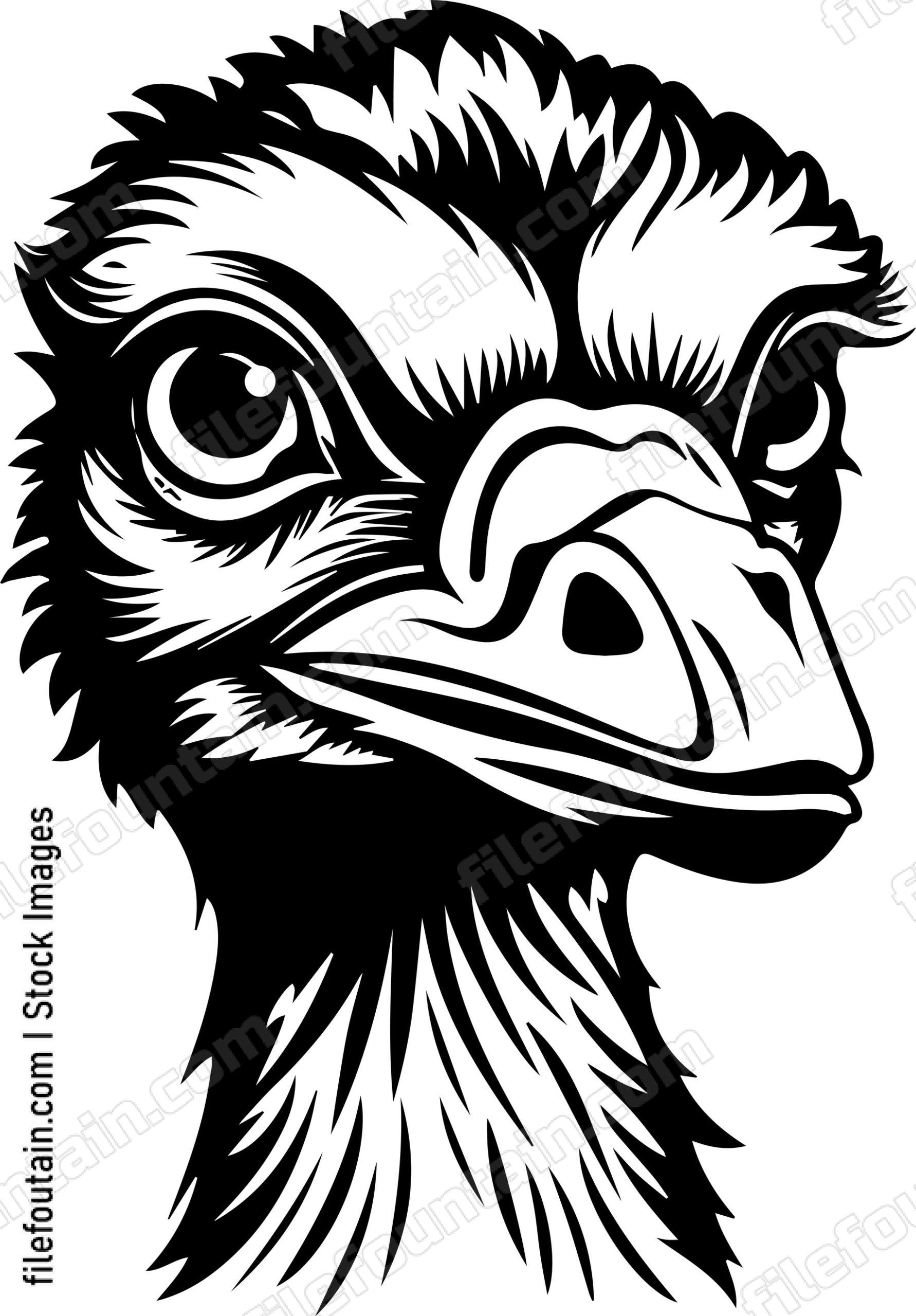 Ostrich Head