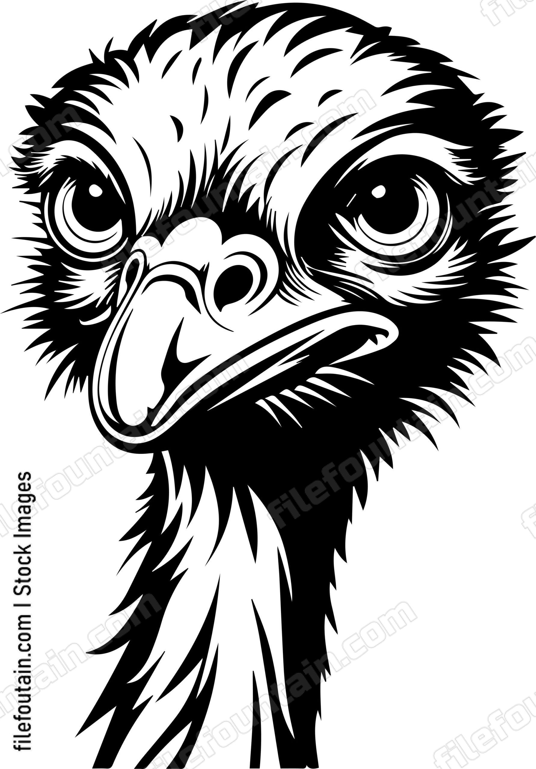 Ostrich Head