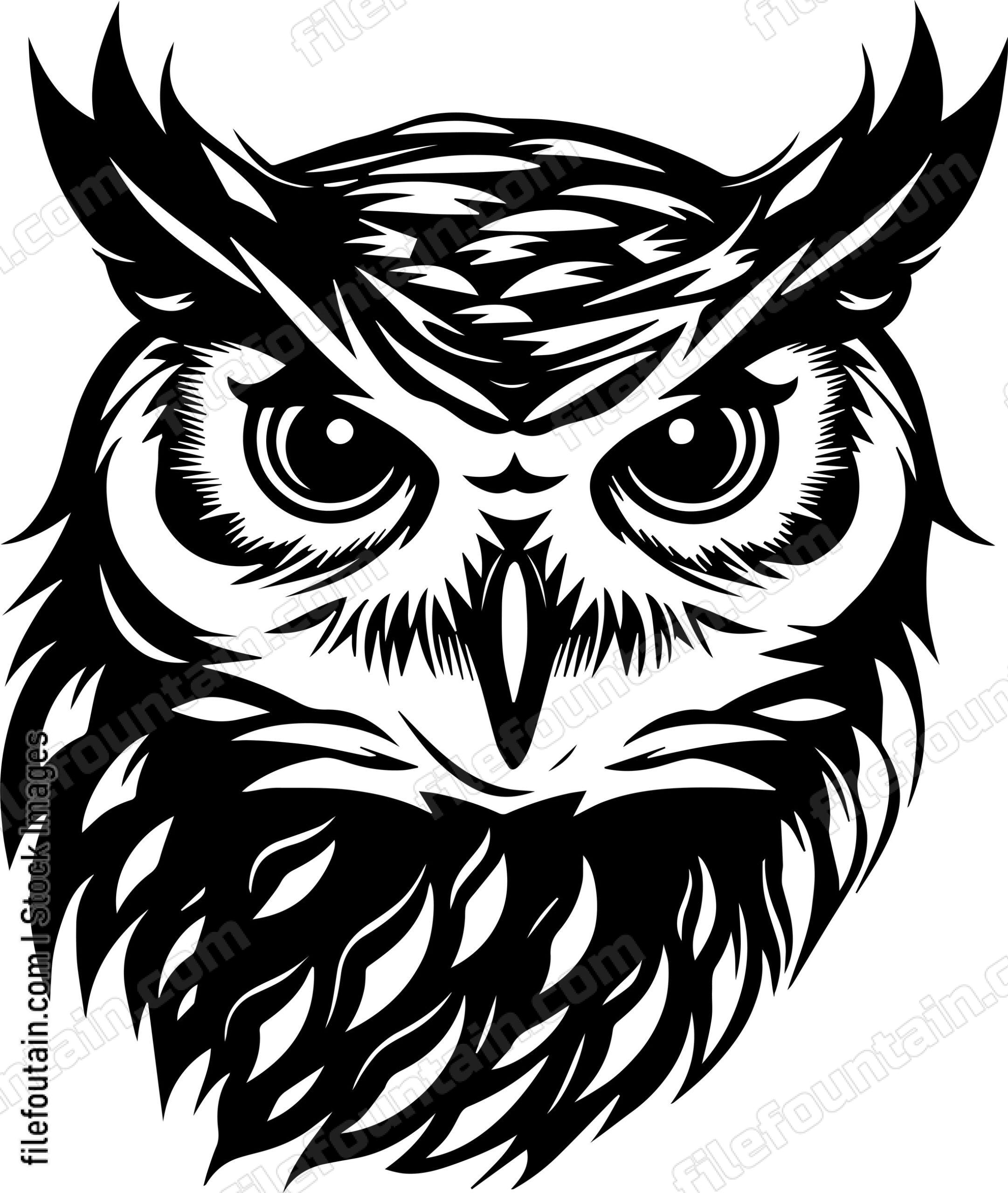 Owl Head