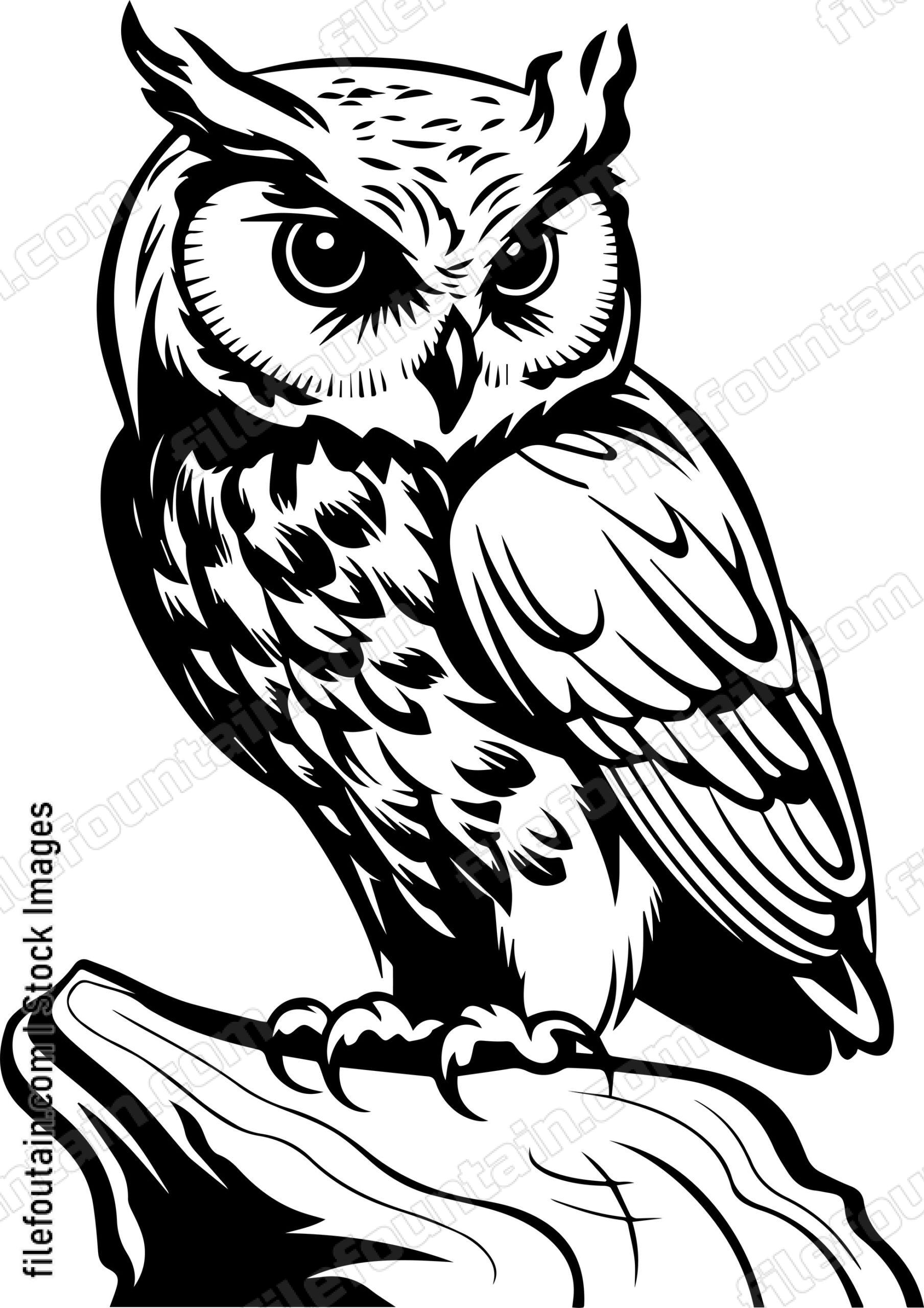 Owl On A Stump