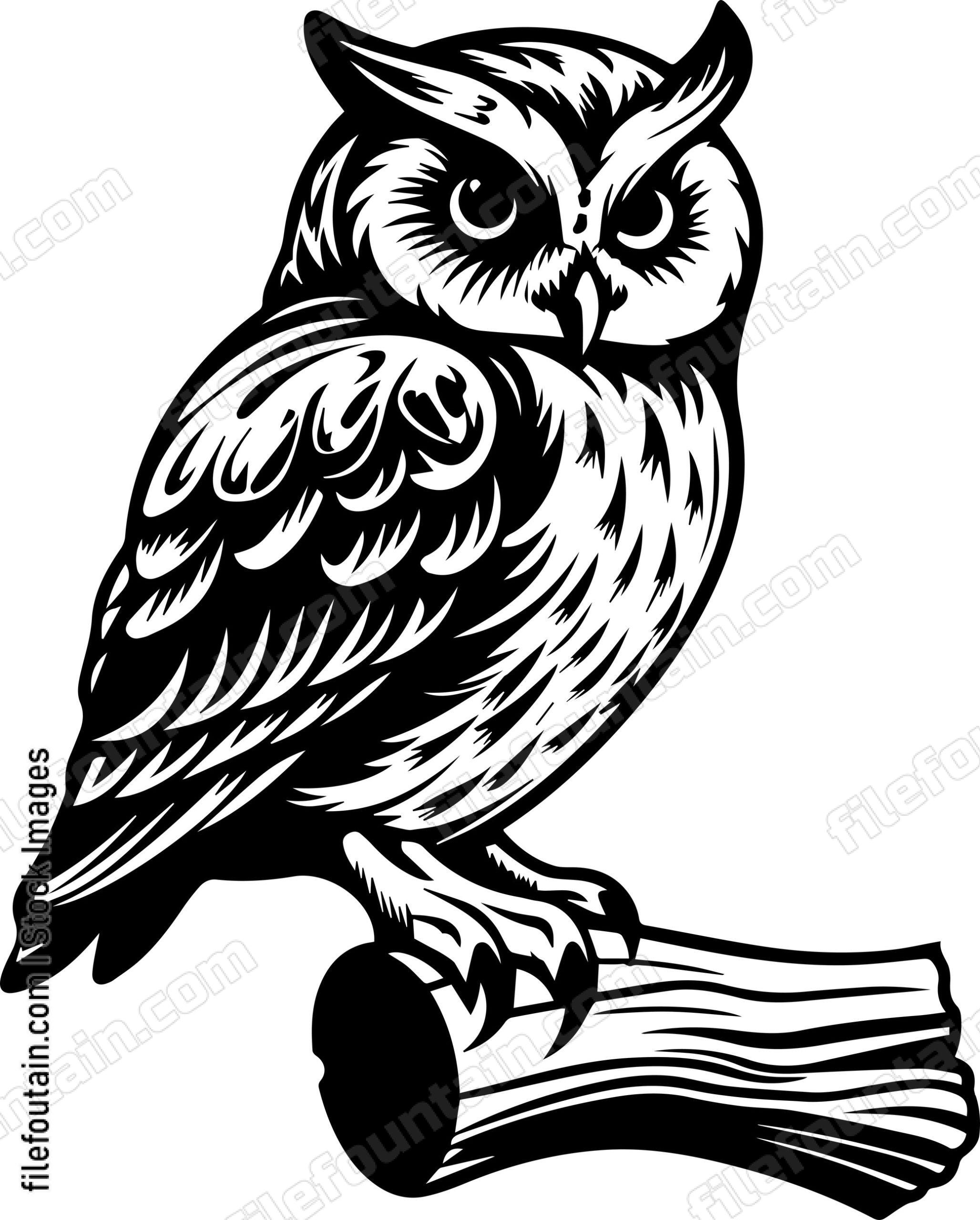 Owl On A Stump