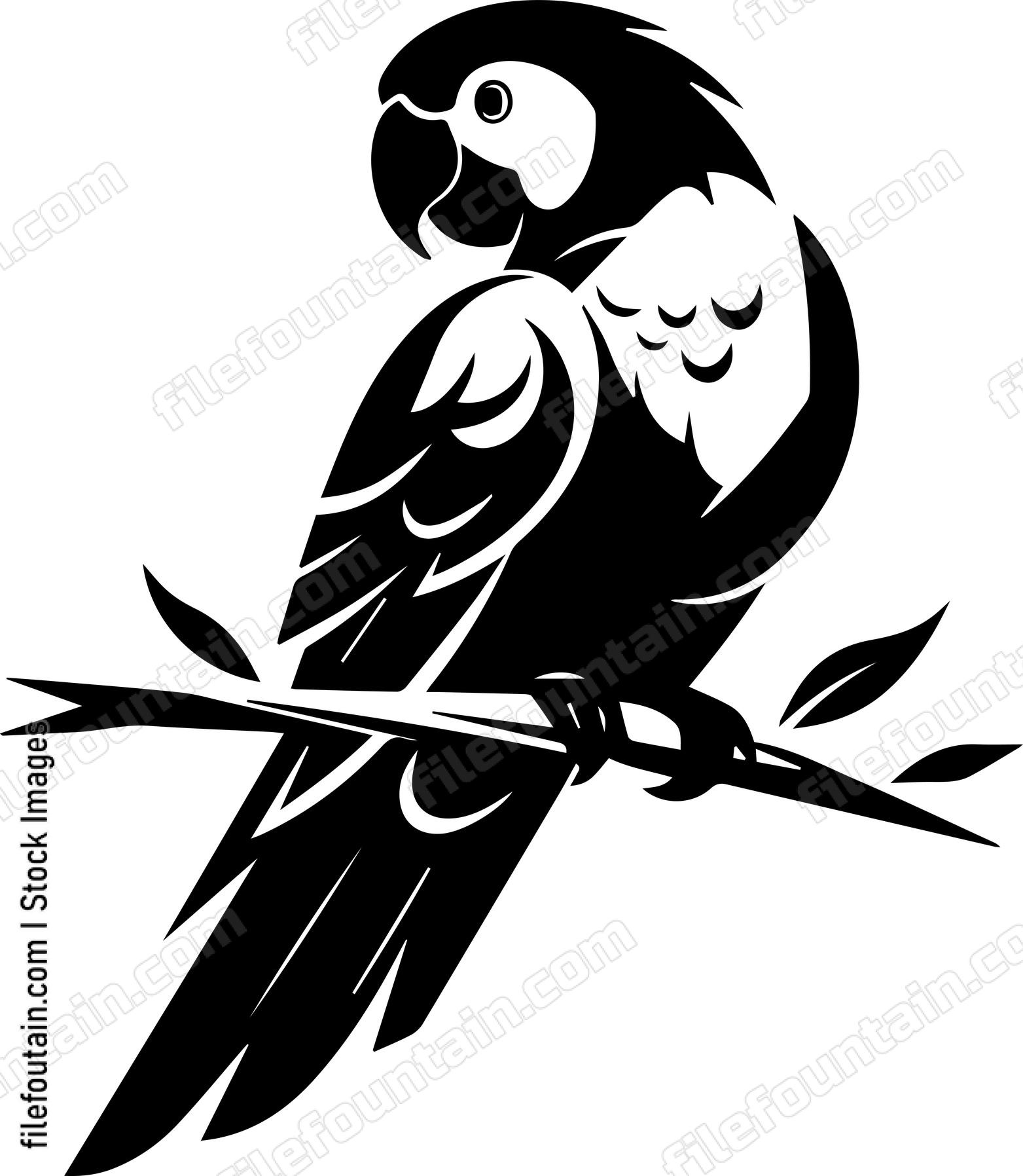 Parrot