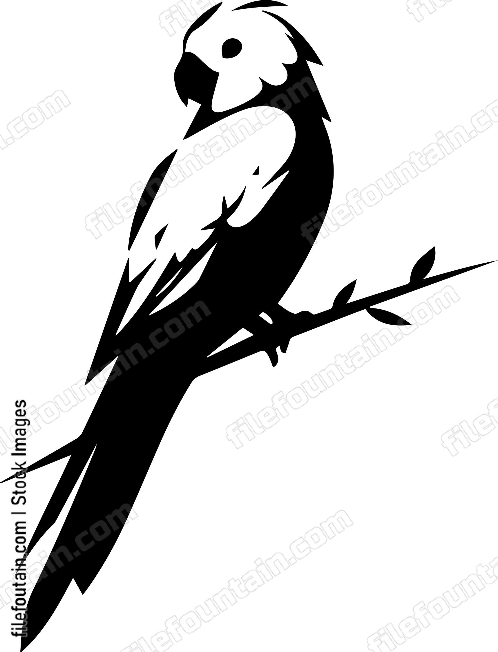 Parrot