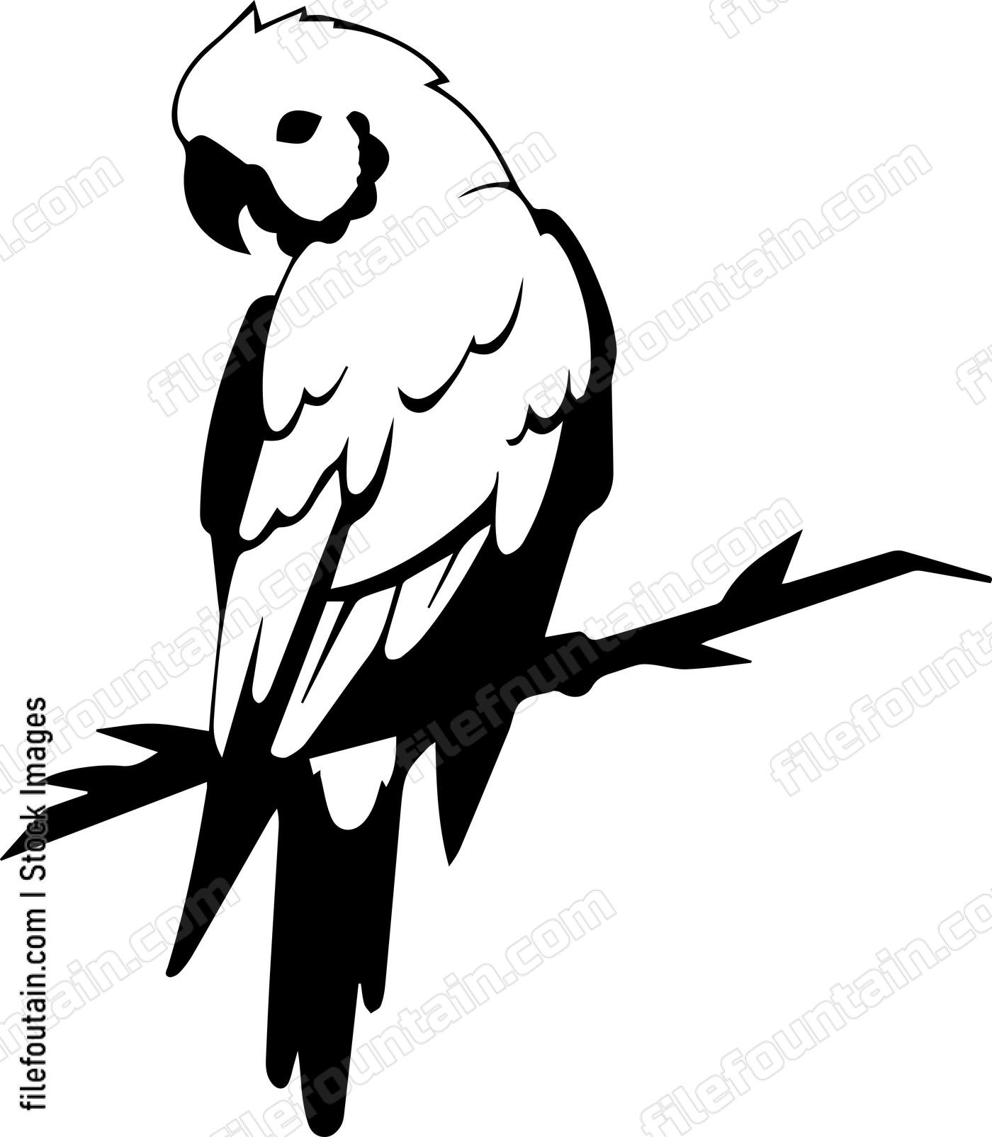 Parrot