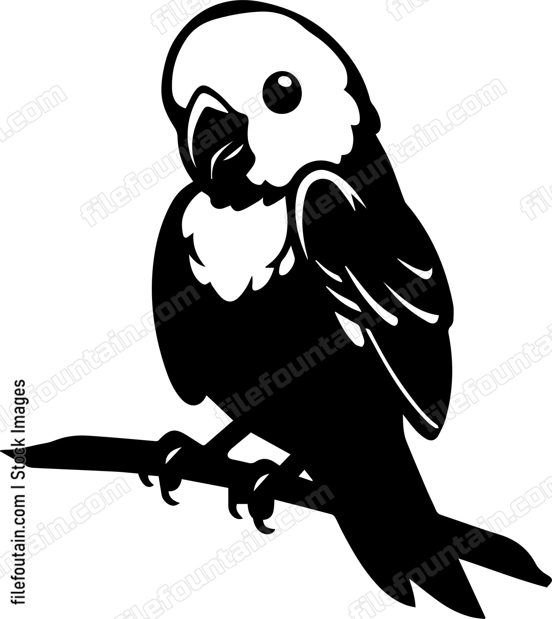 Parrot