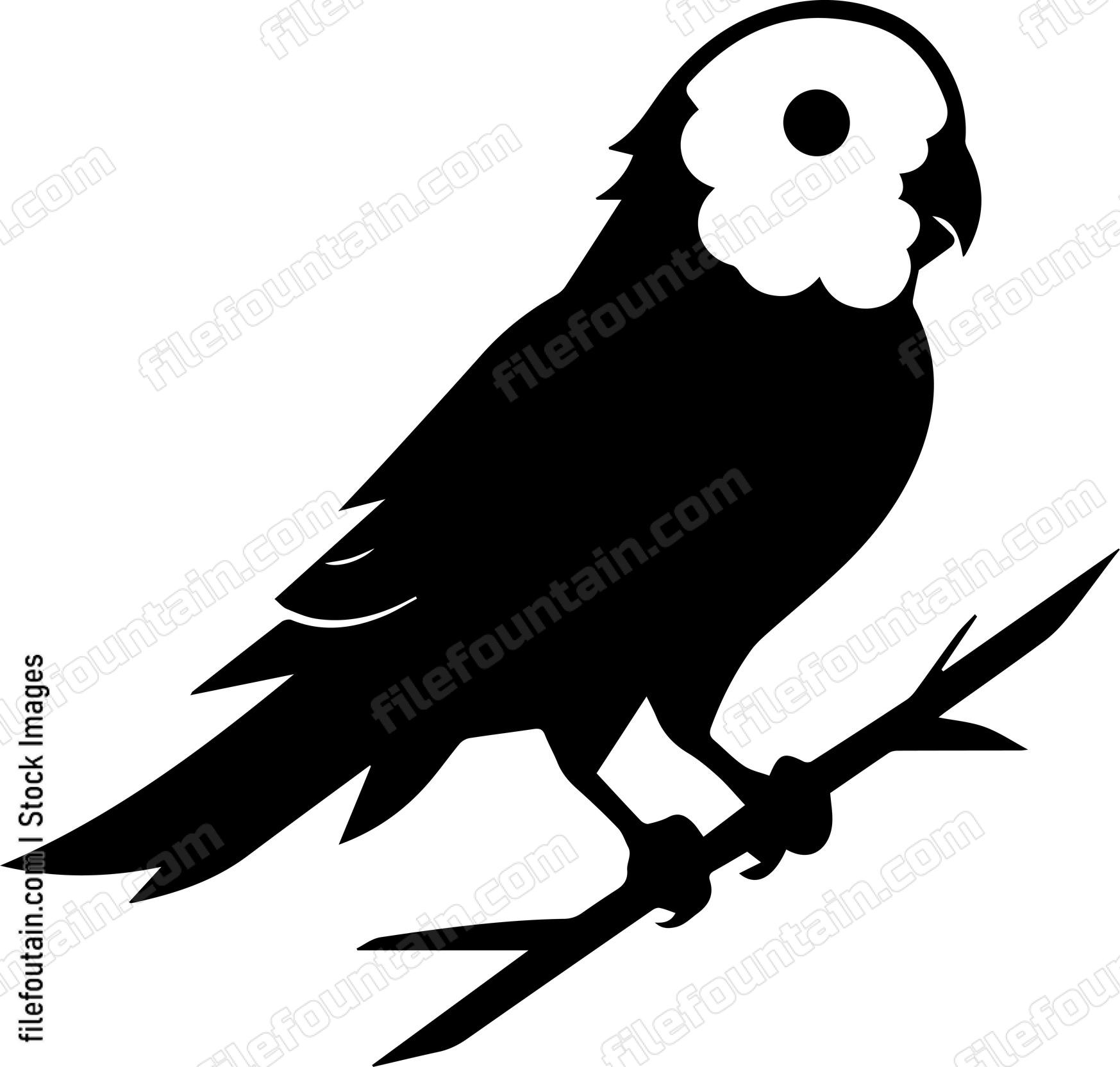 Parrot