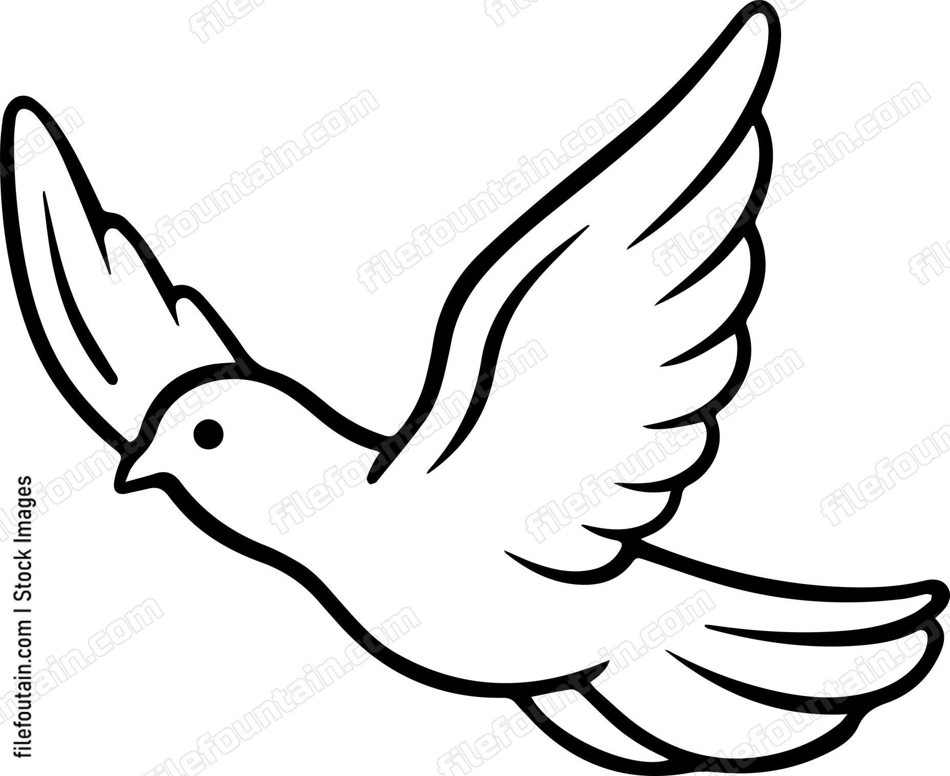 pigeon Flying