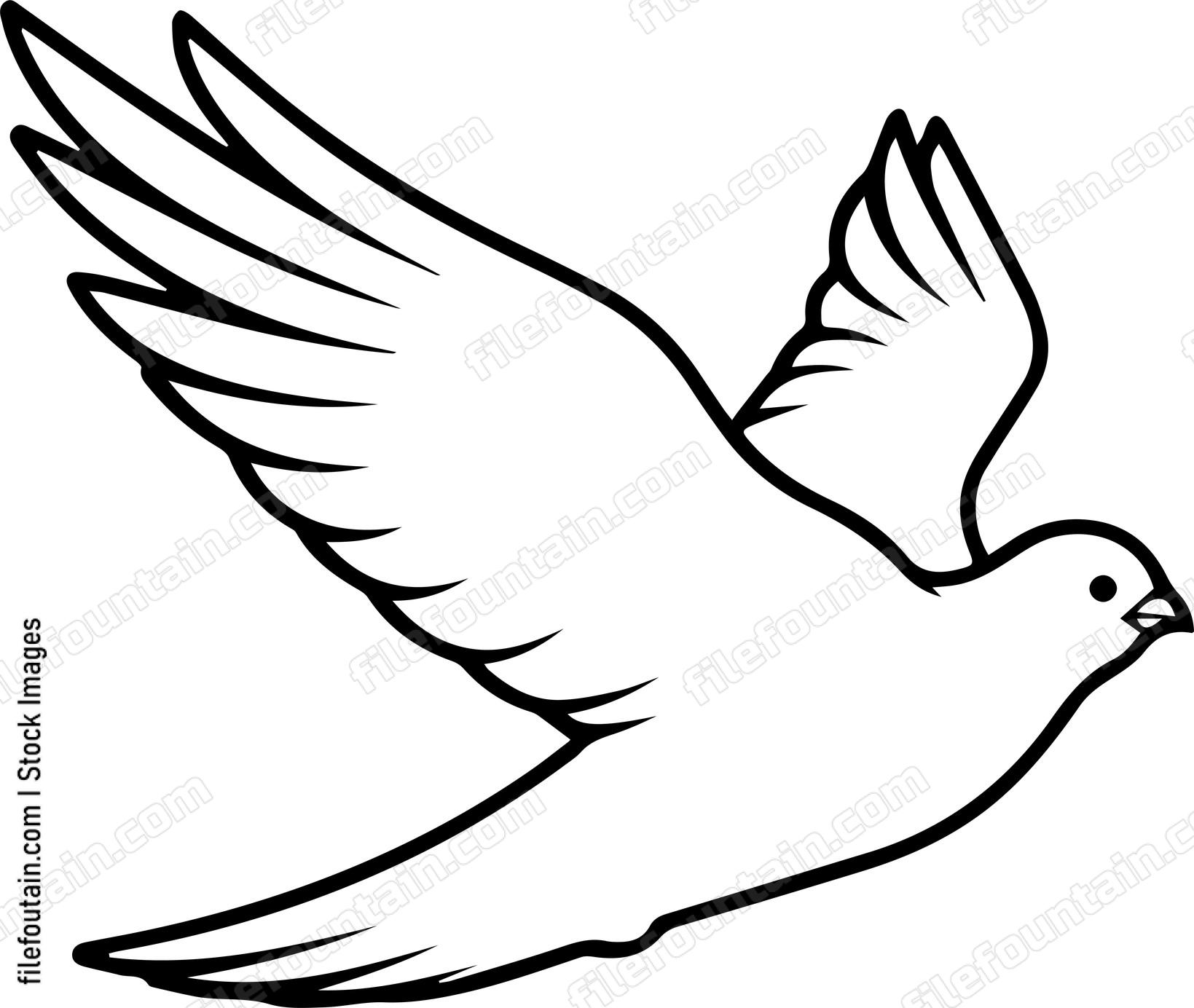 pigeon Flying