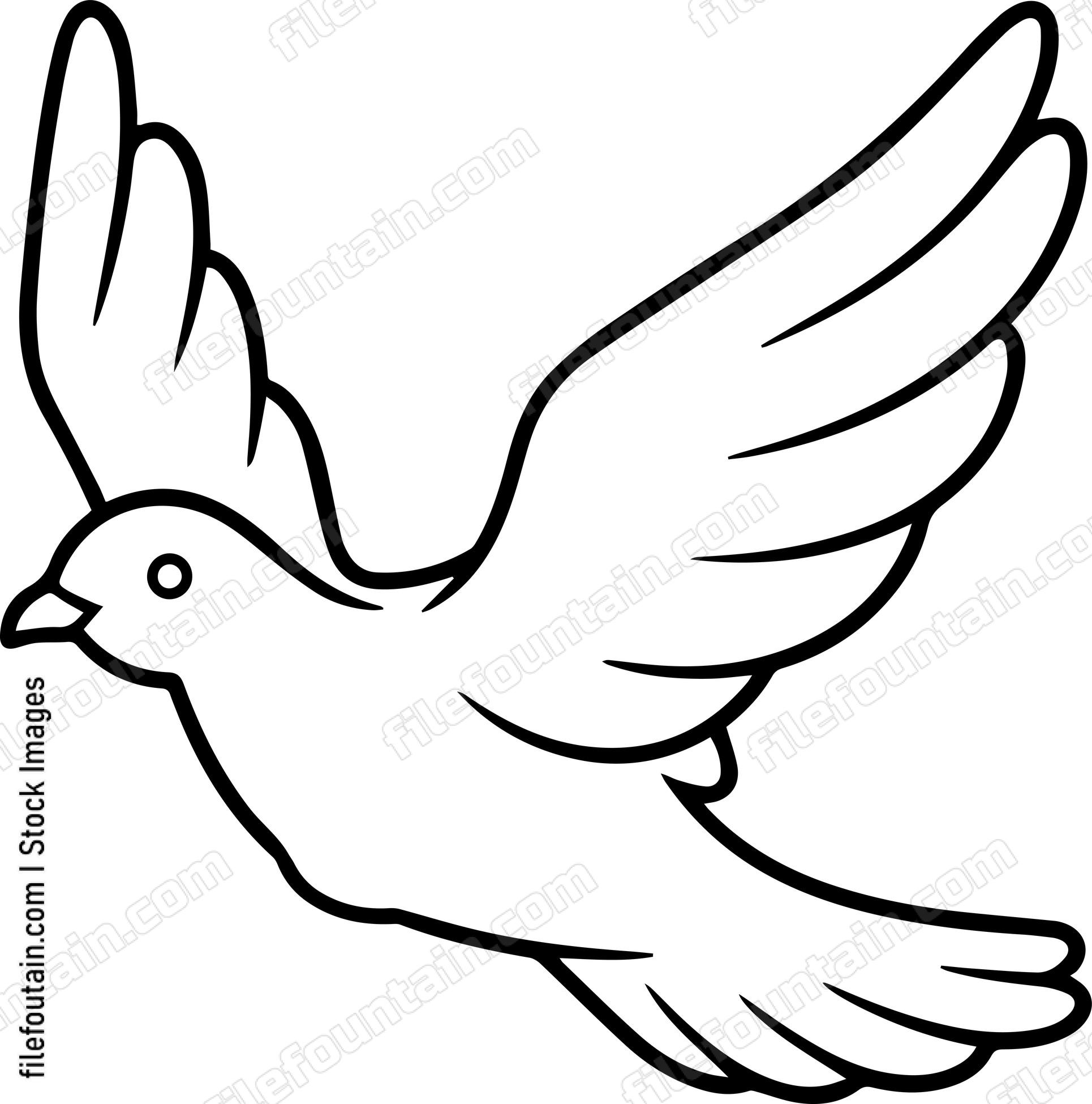 pigeon Flying