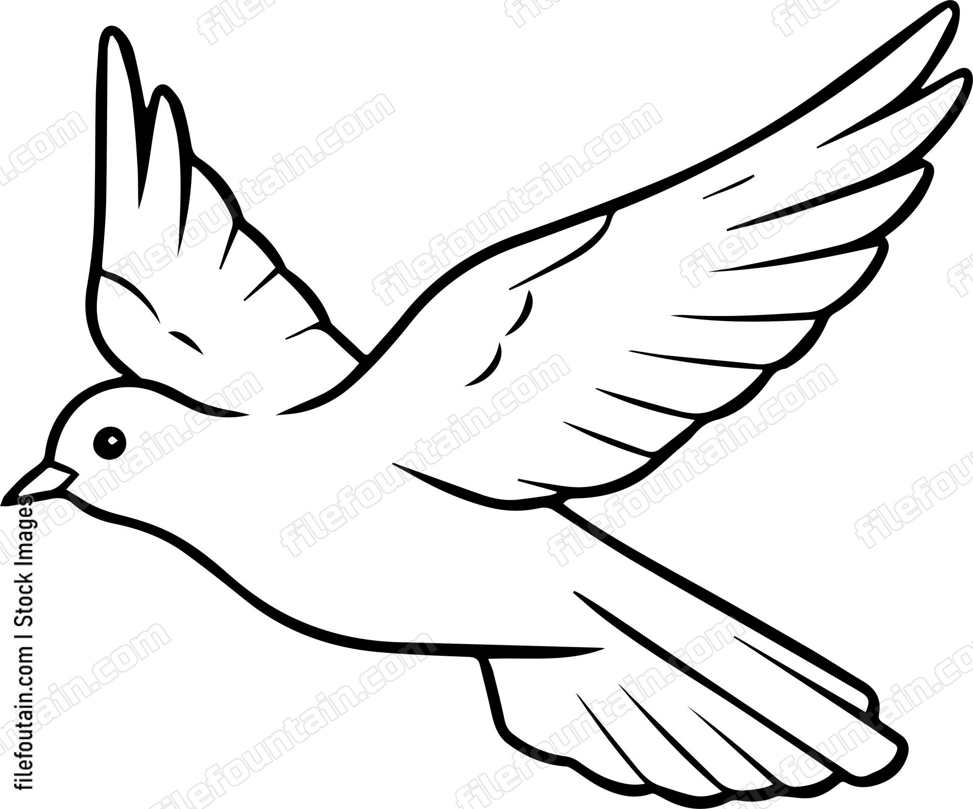 pigeon Flying