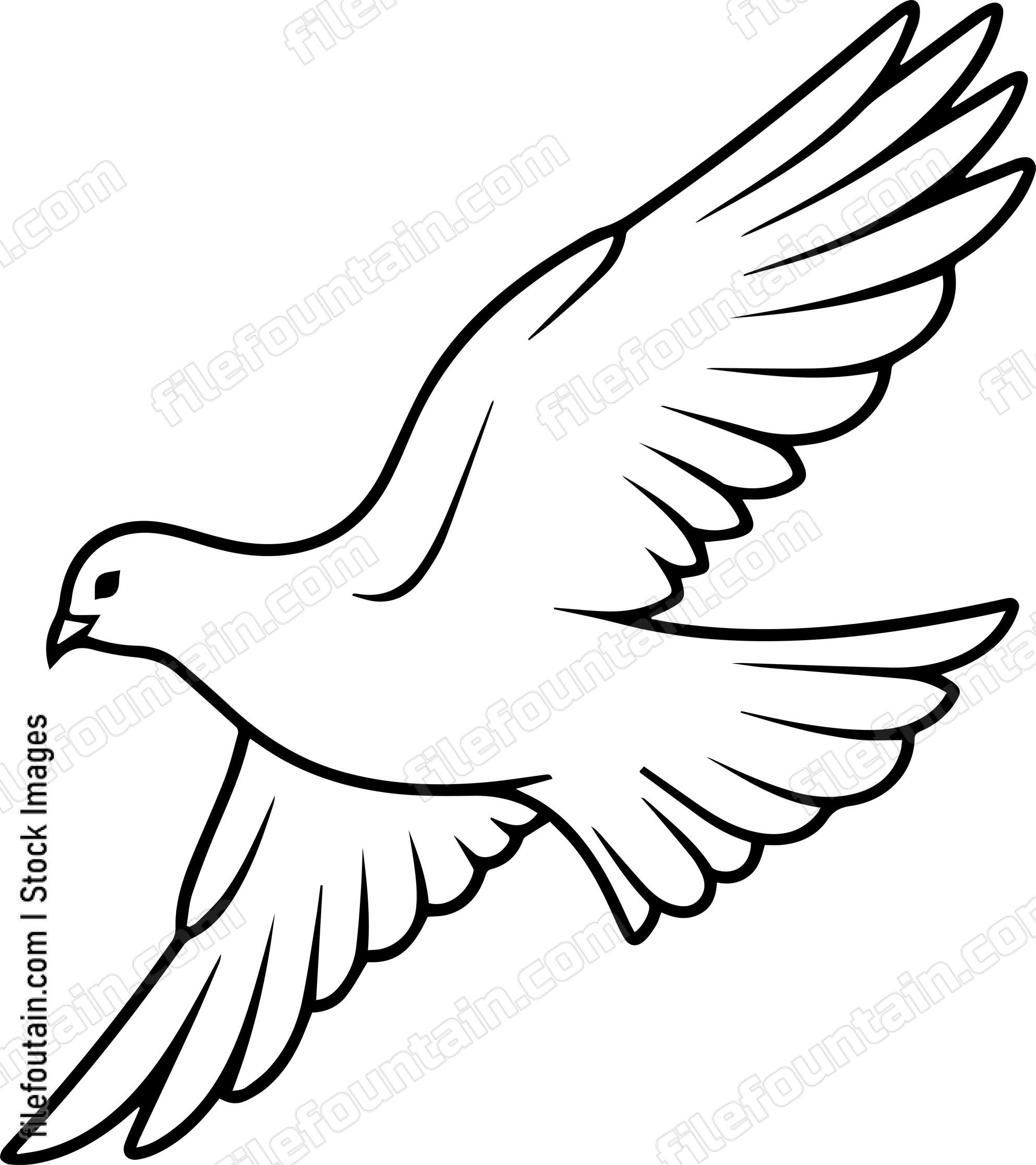 pigeon Flying