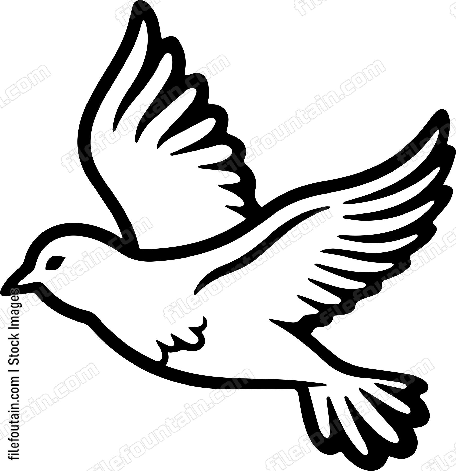 pigeon Flying
